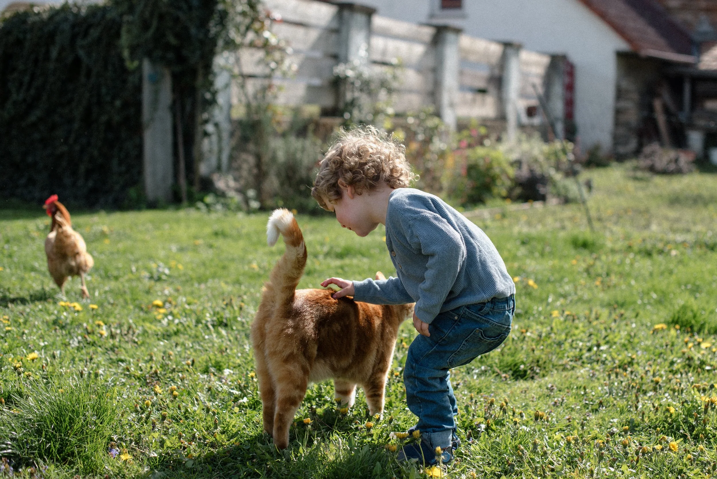 Fam-Reichl_ (31).jpg