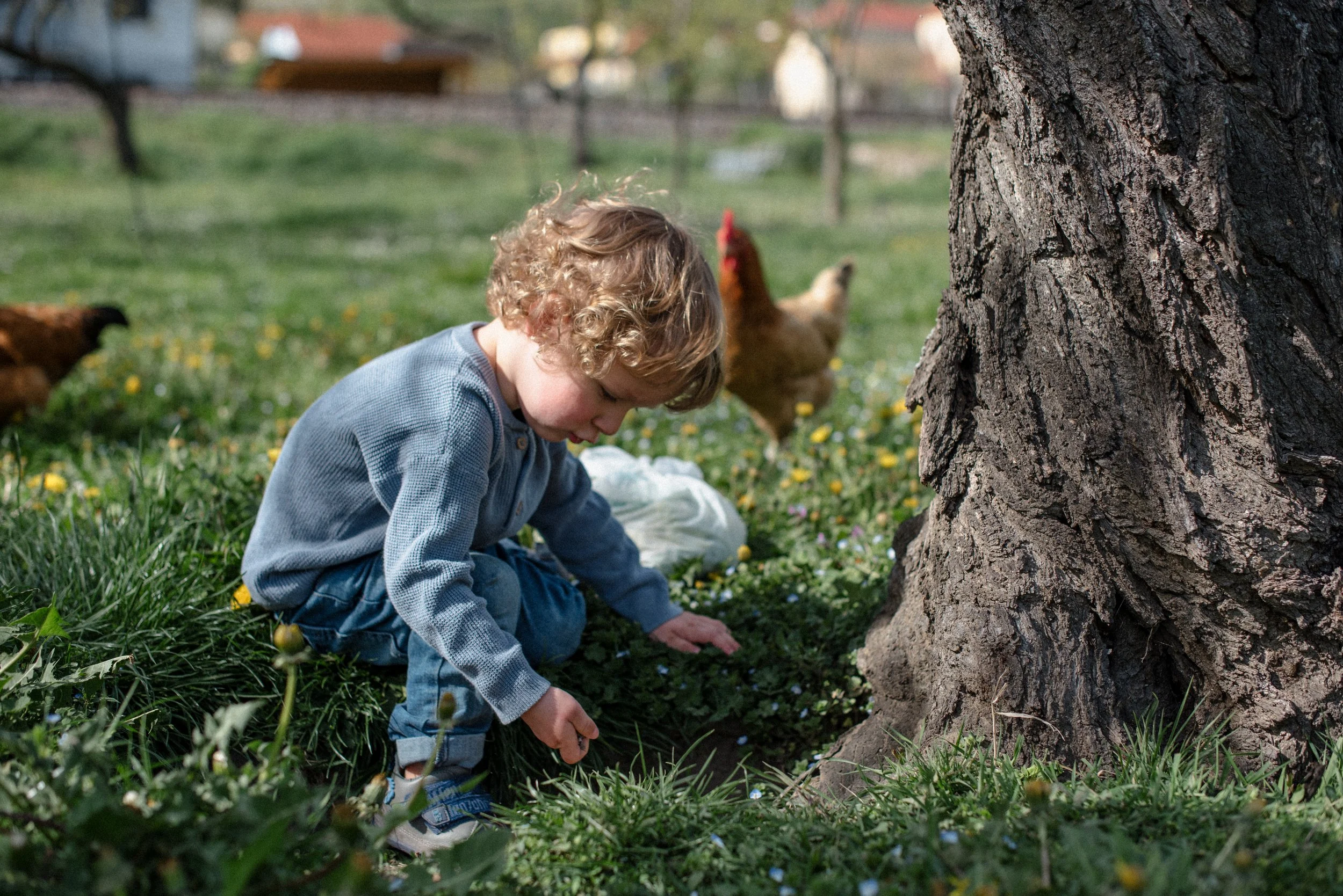 Fam-Reichl_ (29).jpg