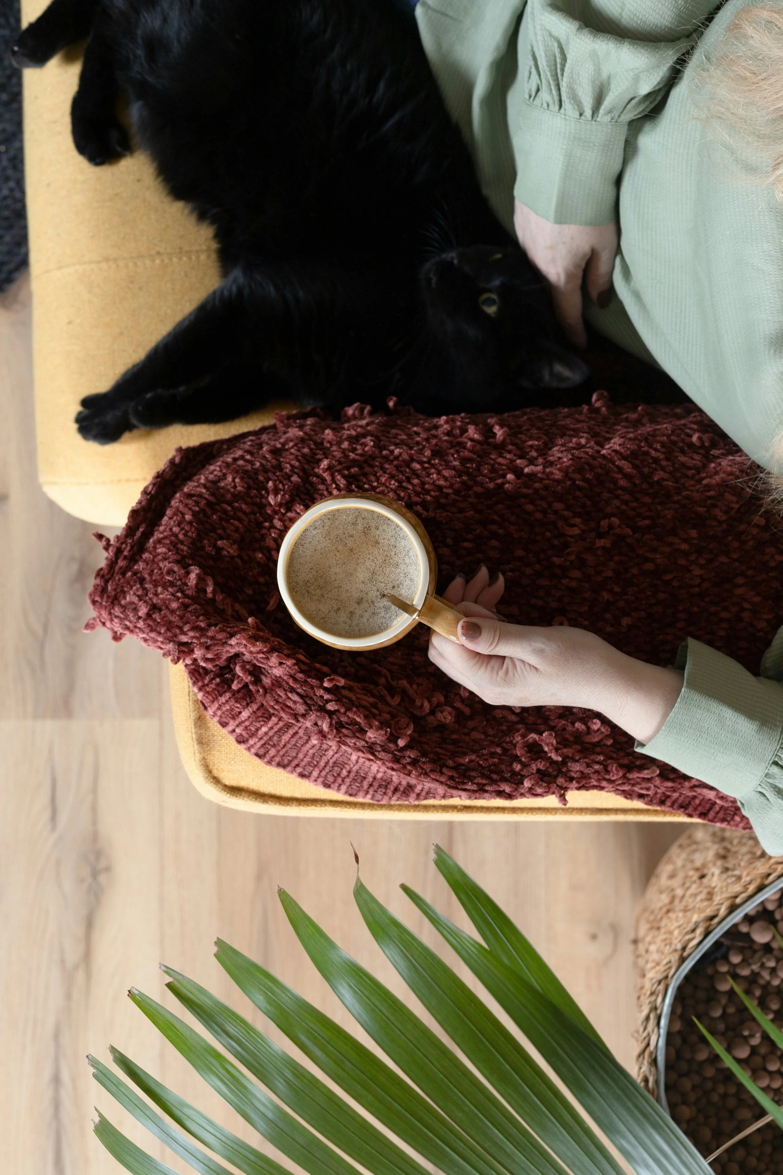 A person in a green shirt holding a cup of coffee, sitting on a couch with a black cat lying on a red blanket nearby. The scene includes a yellowish couch, wooden floor, and a basket with plants.