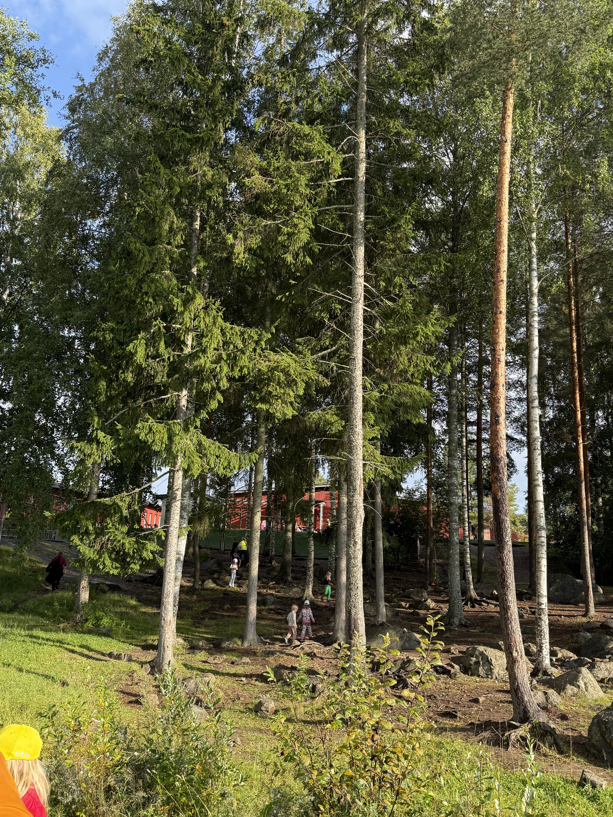 Pirkkalan koulu