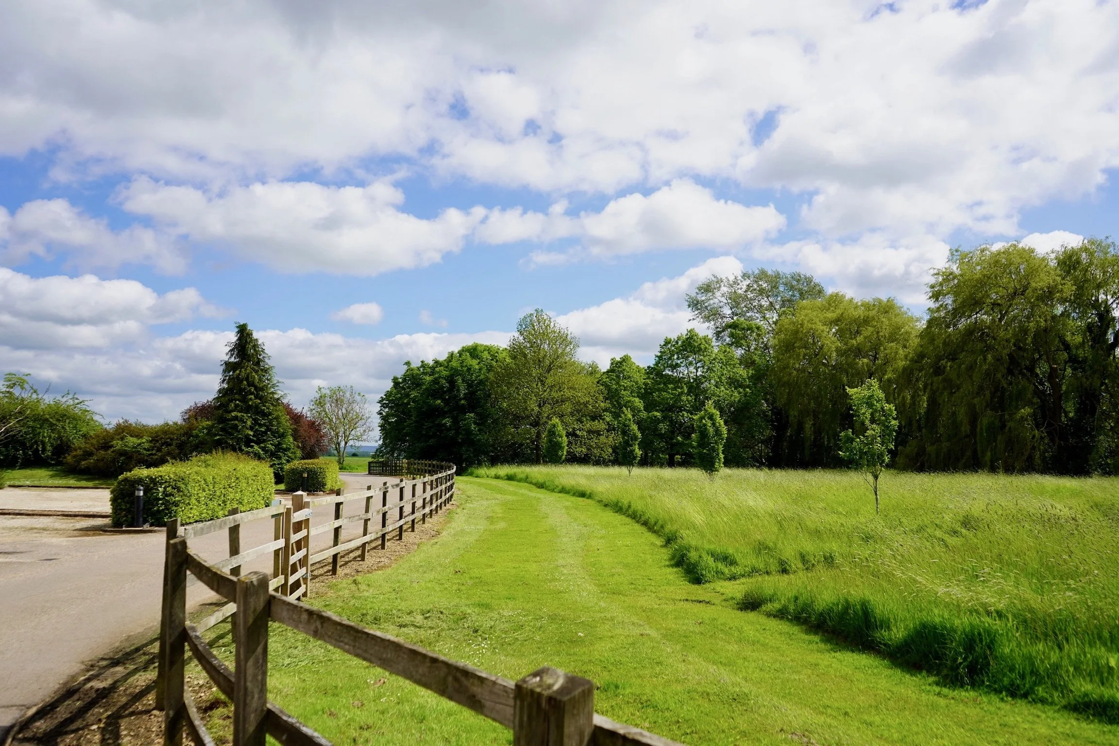 A winding pathway next to a wooden fence, with green grass and trees under a partly cloudy blue sky.