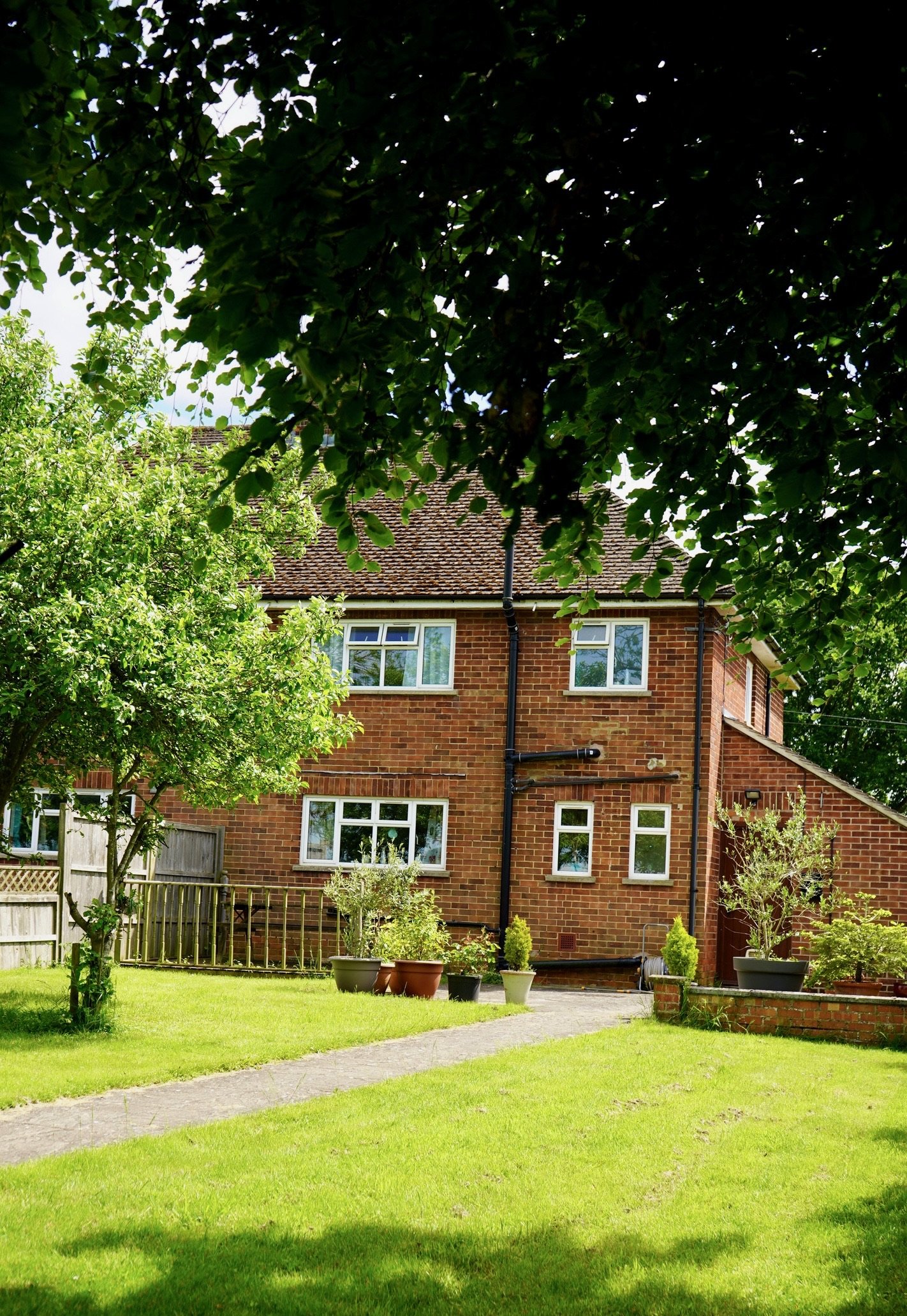 A view of the backyard garden of a brick house, with lush green grass, potted plants, small trees, and a paved pathway leading to the house, partly shaded by large tree leaves.