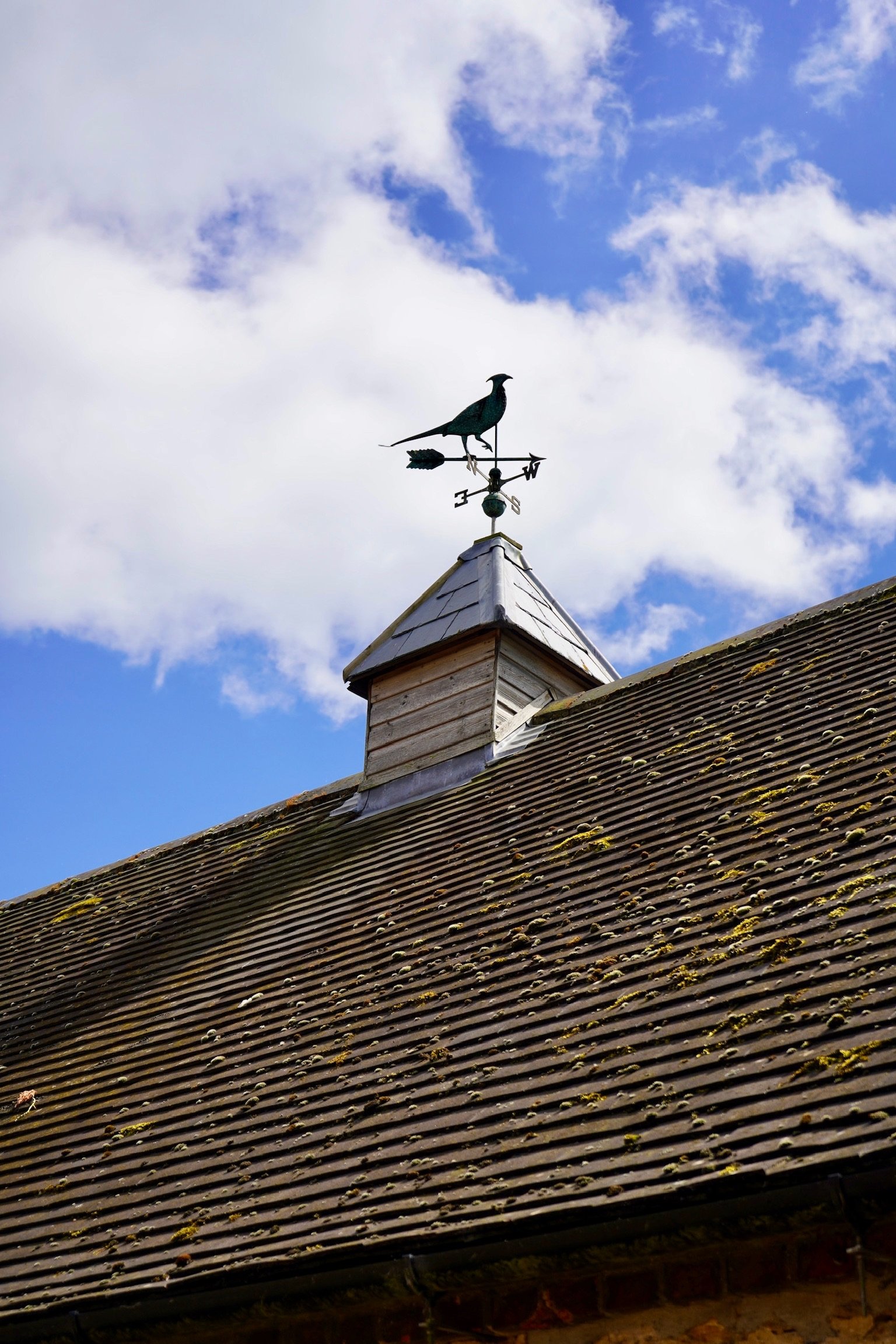 A rooftop with dark, moss-covered tiles and a weather vane featuring a bird silhouette, set against a blue sky with scattered clouds.