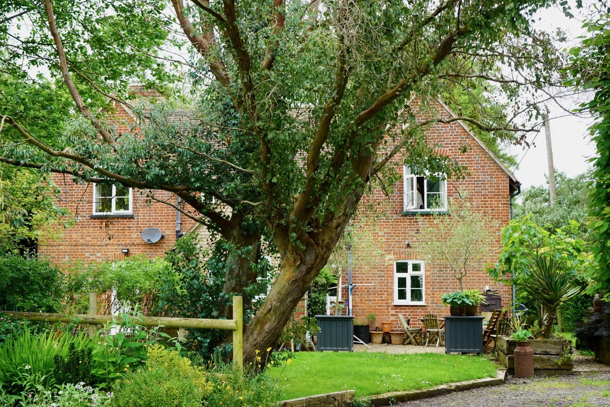 A brick house with multiple windows, surrounded by a lush garden with trees, plants, and outdoor furniture.