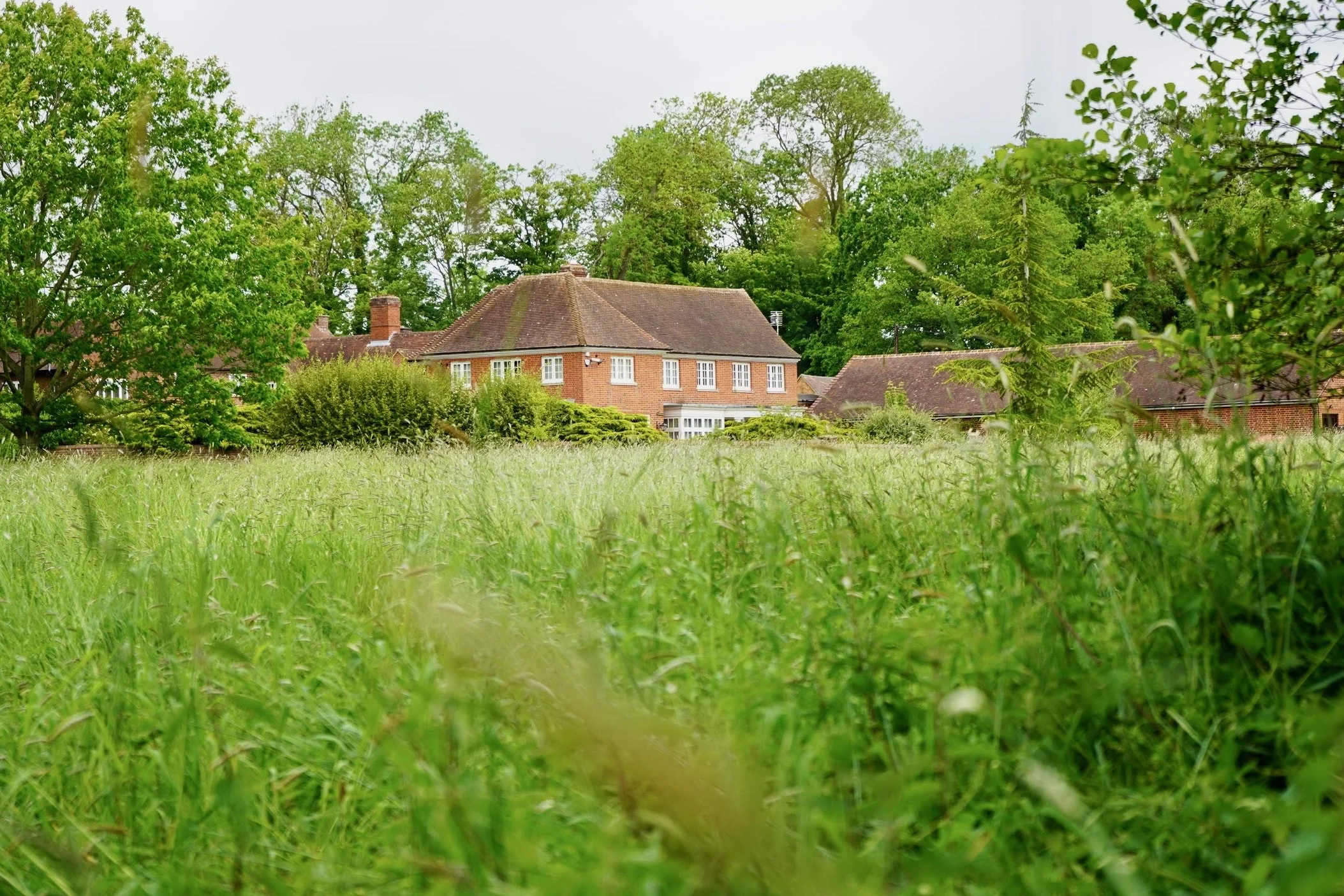 A house surrounded by lush green trees and overgrown grass in the foreground on a cloudy day.