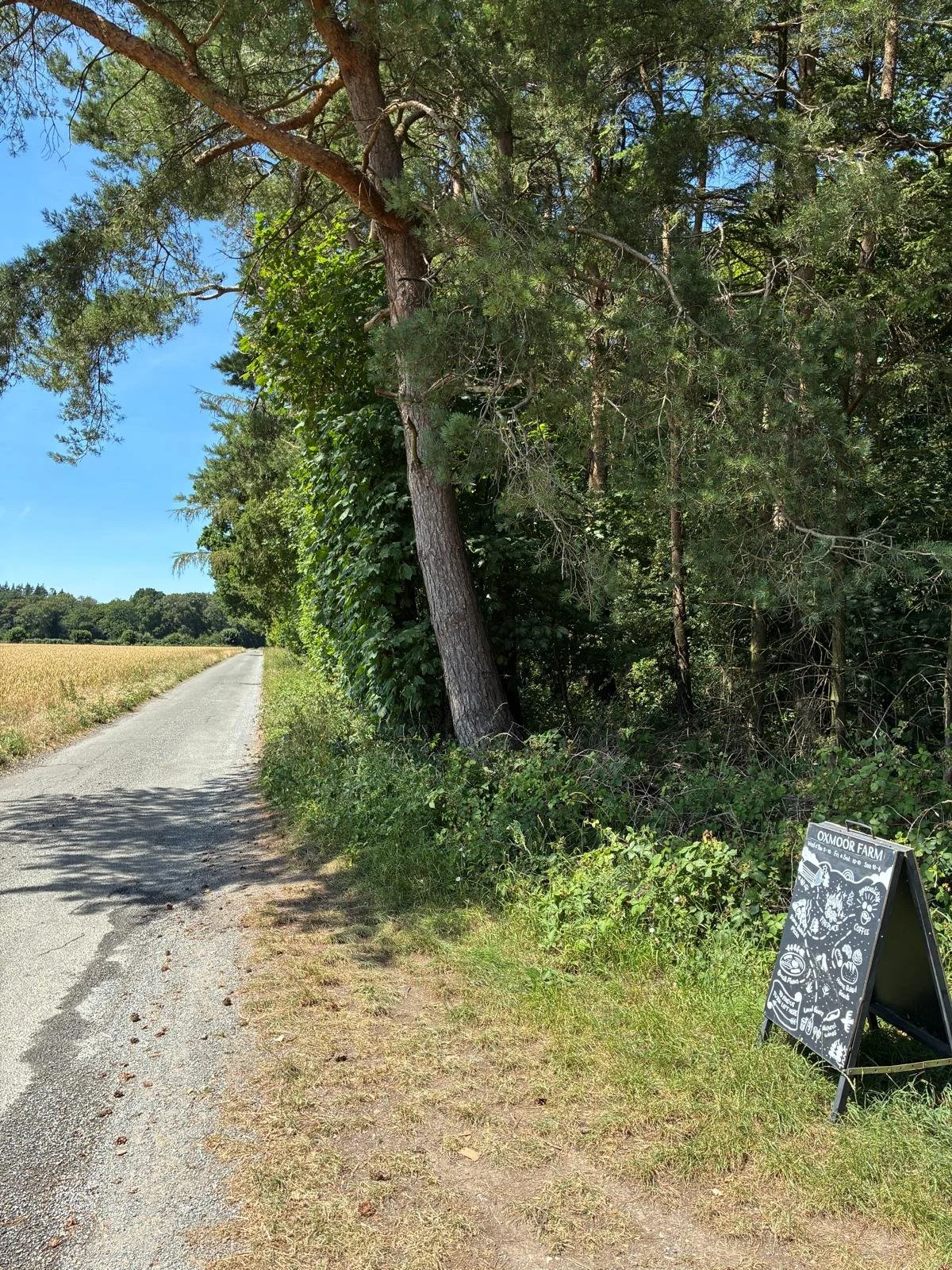 A narrow country road runs alongside a field on the left and dense trees with green leaves on the right. A black chalkboard sign with white illustrations and the words 'Oxmoor Farm' is near the trees.