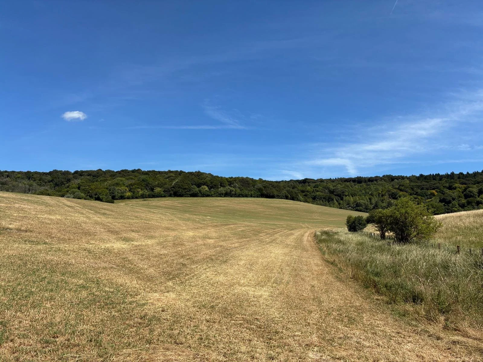 A rural landscape with a dirt path cutting through a grassy field, rolling hills covered in trees in the background, and a blue sky with scattered clouds.
