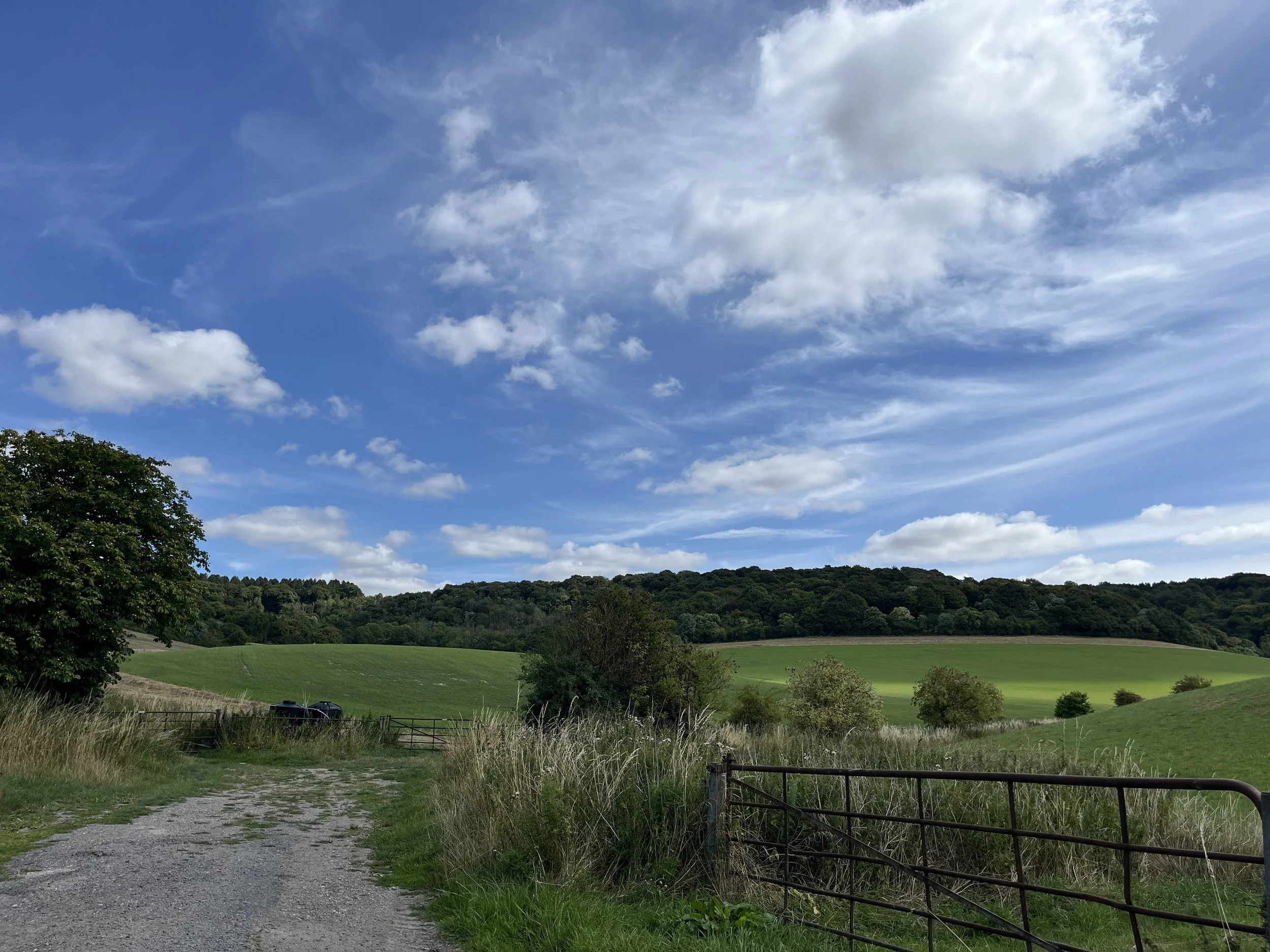 A rural landscape with a gravel dirt road, fencing, green rolling hills, and a partly cloudy sky.