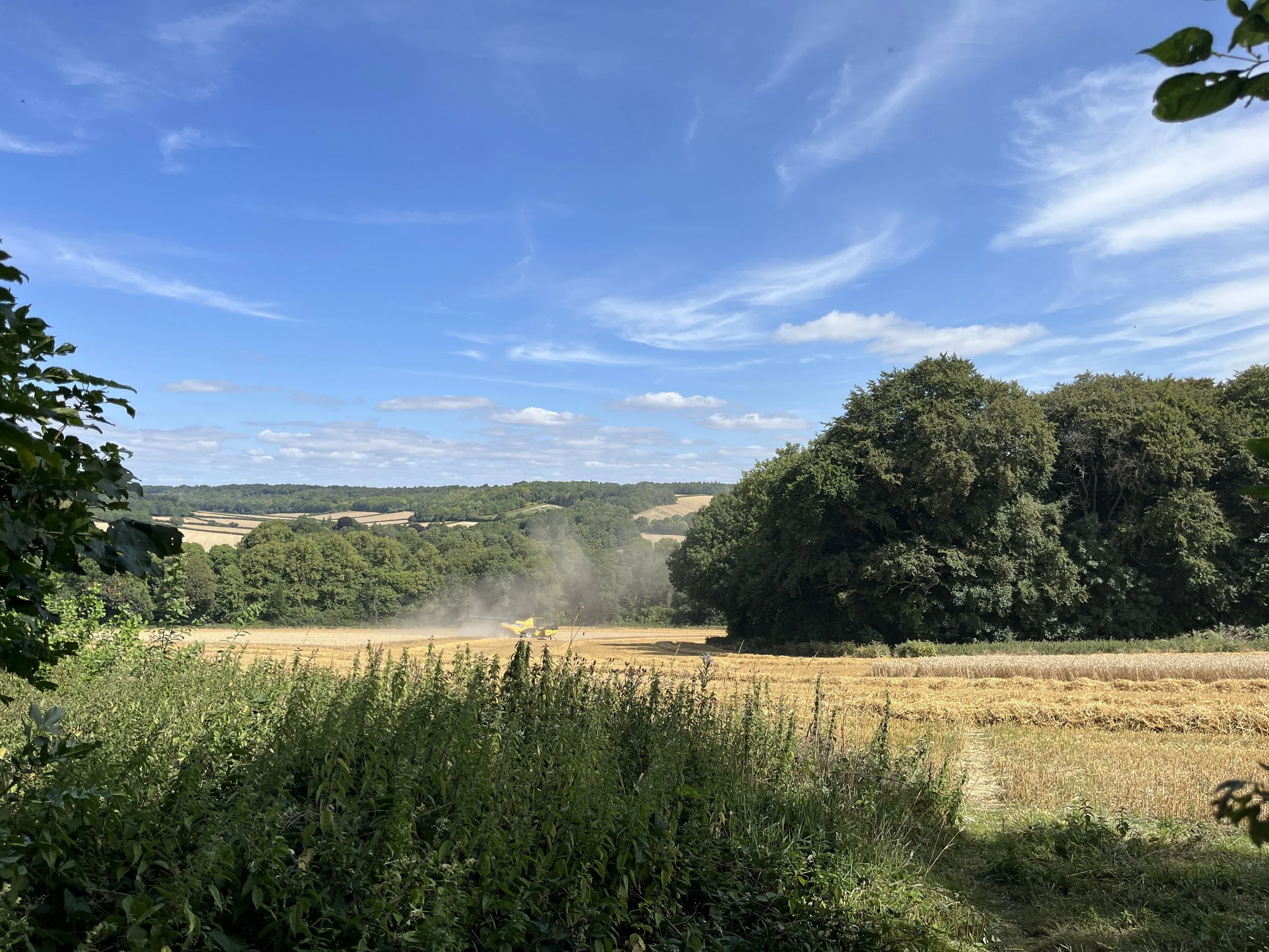 A rural landscape featuring a blue sky with clouds, a large green tree on the right, a field with harvested crops, and a yellow agricultural vehicle spraying the field, creating a cloud of dust or mist.