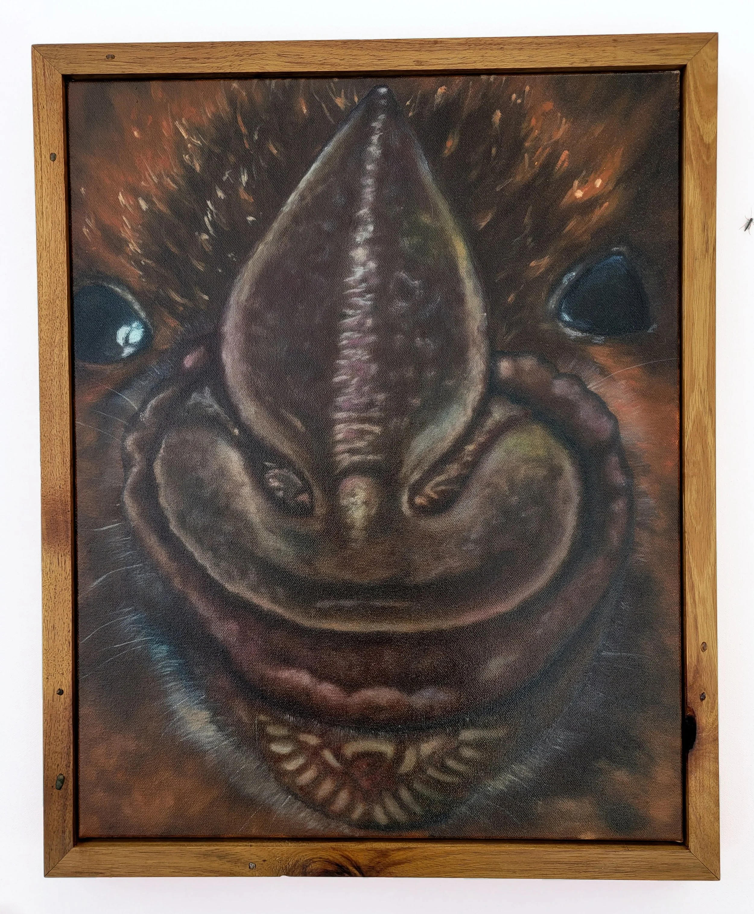  A Bats Nose , 2026, oil on canvas