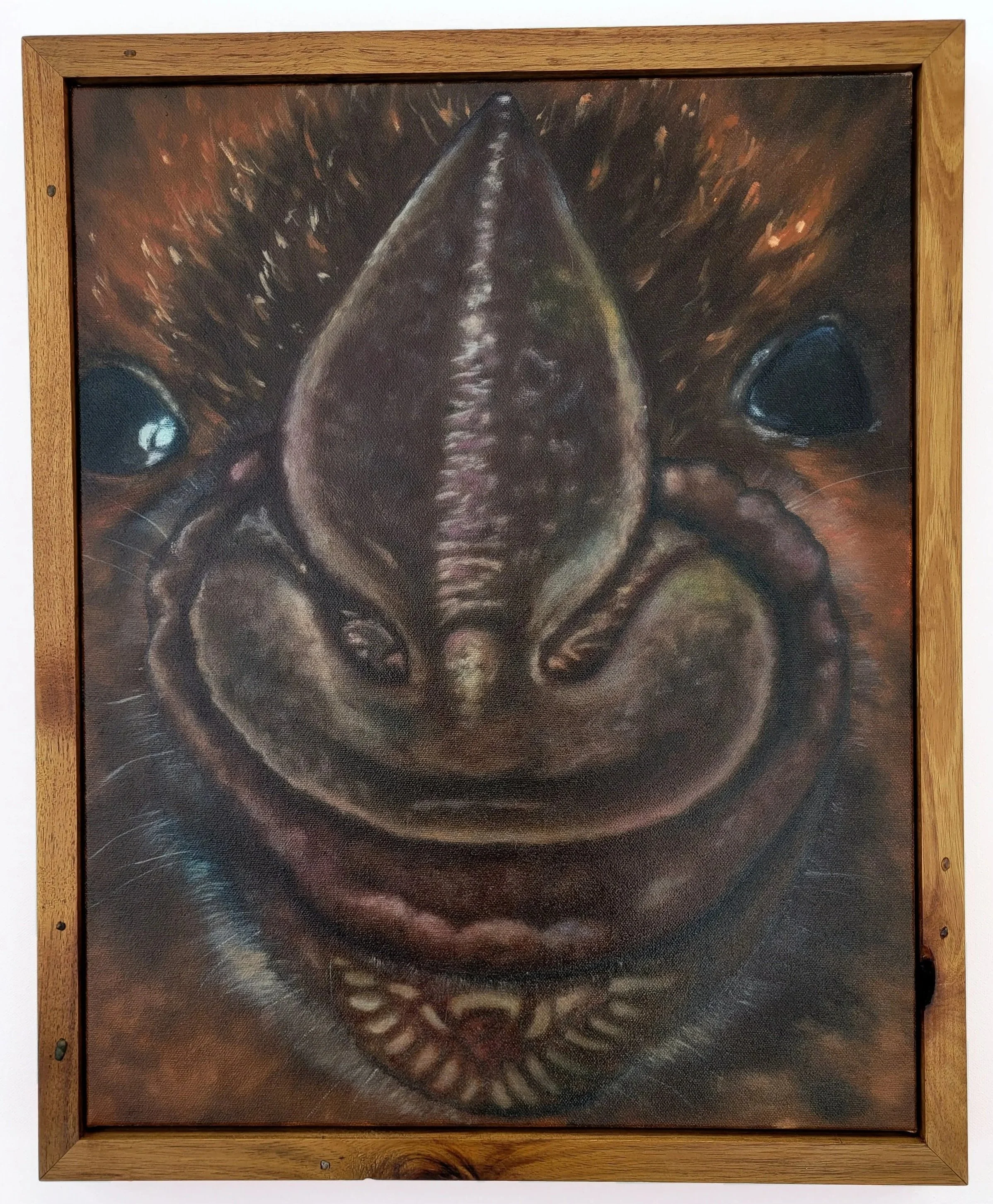  A Bats Nose , 2026, oil on canvas