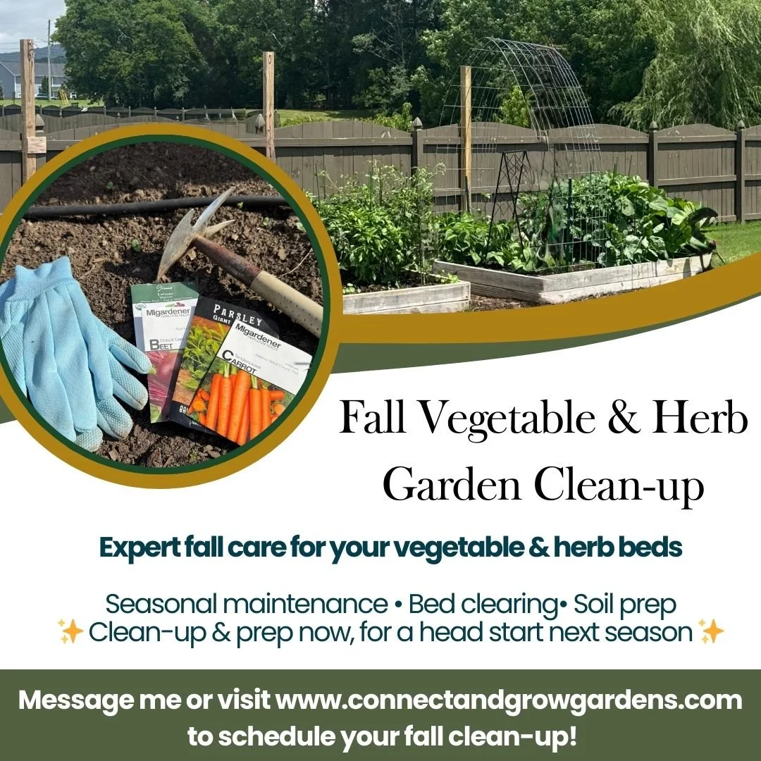Got a veggie or herb garden that needs some end-of-season love? 🌿🍂

I help gardeners wrap up the season with expert fall clean-ups &mdash; pulling tired summer crops, prepping the soil, and setting your beds up for a strong start next spring.

✨ A 