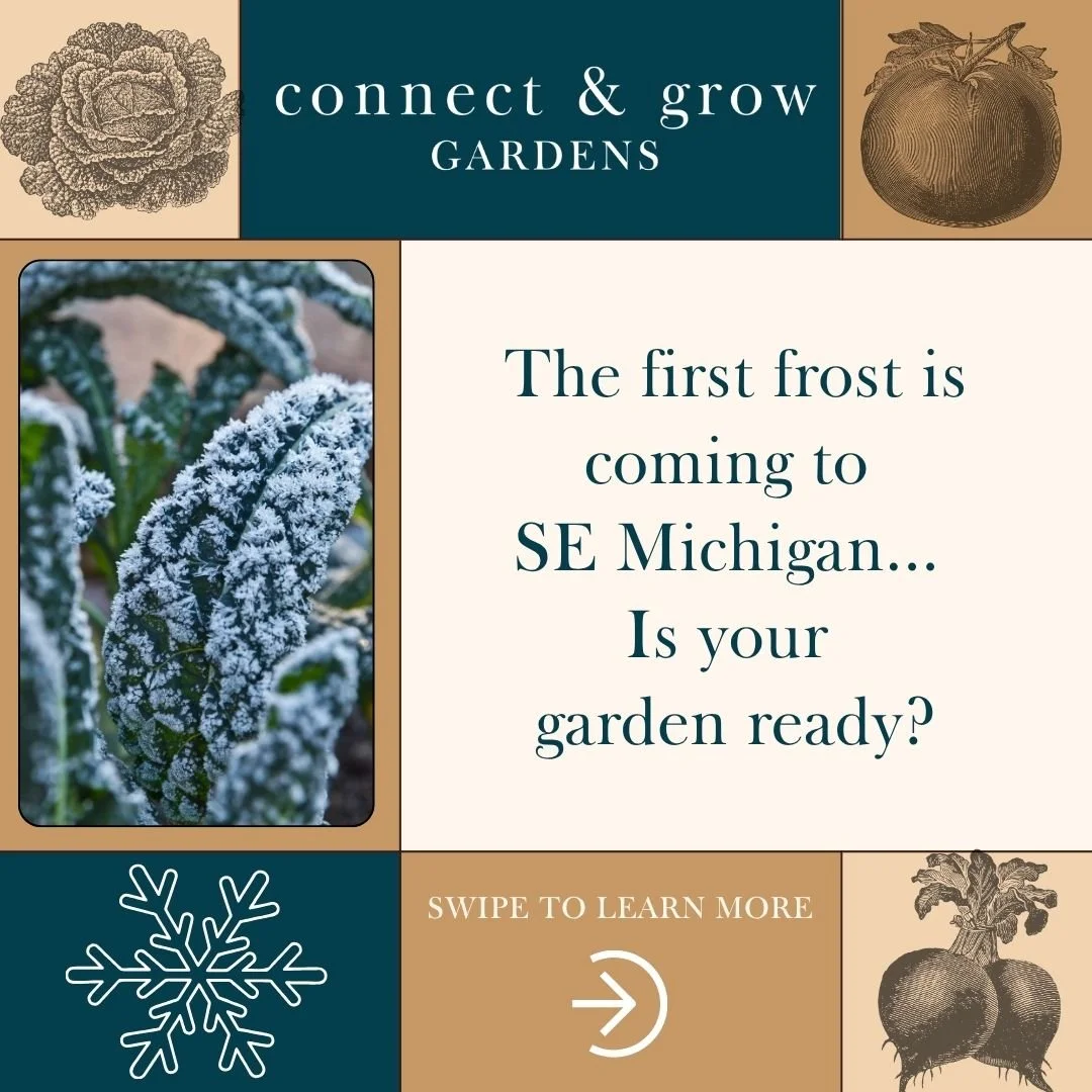 Cooler temps are on the way &mdash; the average first frost in Metro Detroit is around October 21st. Here&rsquo;s how to get your garden ready:

🍅Harvest frost-sensitive veggies and herbs: tomatoes, beans, peppers, basil, cucumbers, squash
🥕Leave t