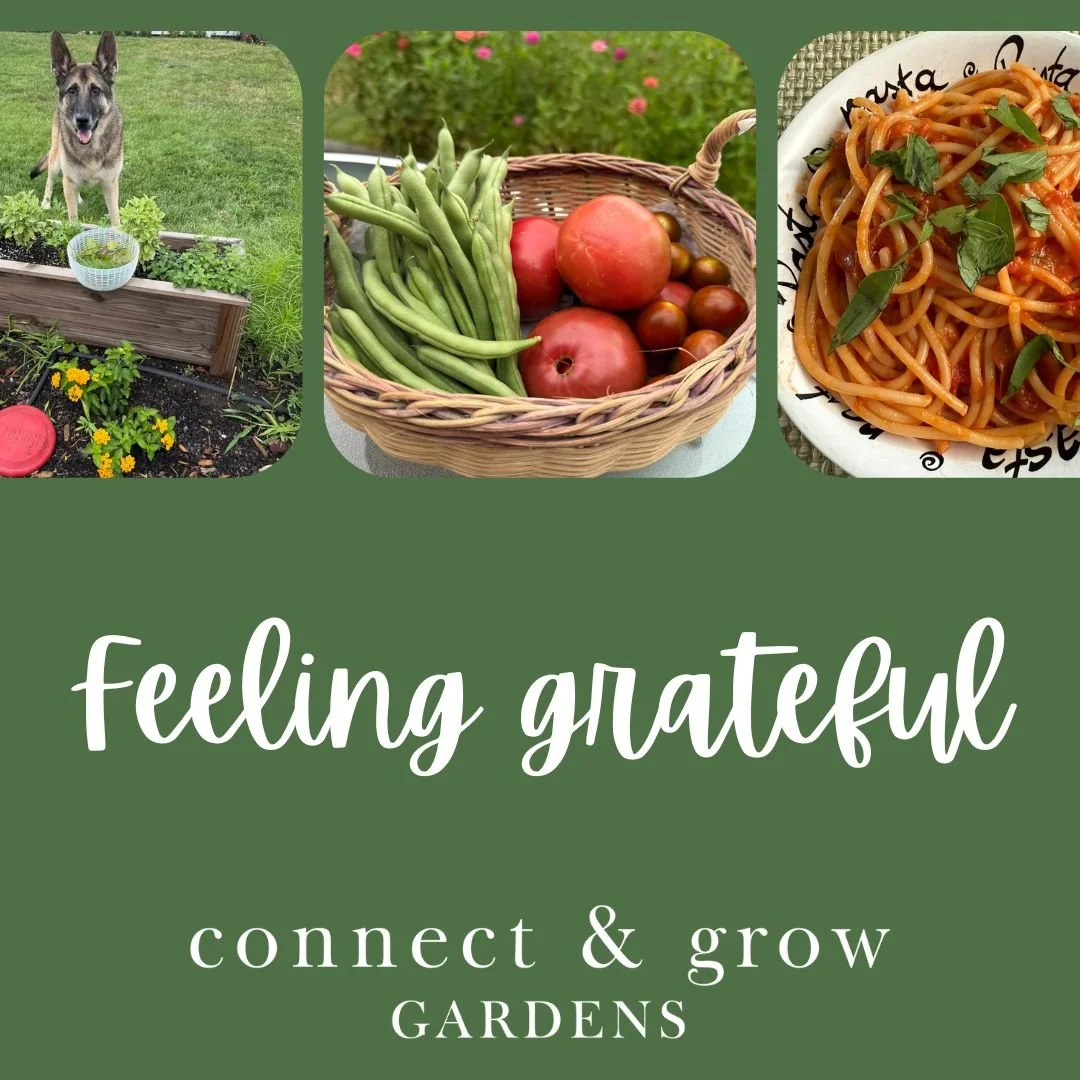 November is a big month here at Connect &amp; Grow Gardens &mdash; it&rsquo;s Thanksgiving and our one-year anniversary!

Looking back on the past year, I&rsquo;m feeling deeply grateful &mdash; for every seed planted, every harvest shared, and every