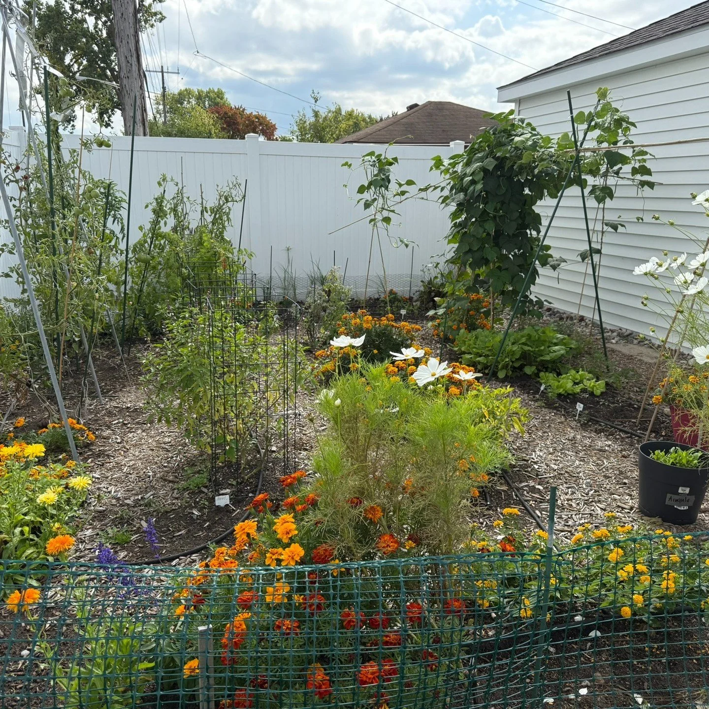 This season brought so many firsts &mdash; new flowers, herbs, and harvests that filled the garden (and my heart) with gratitude 🙏

Every plant has its own story &mdash; from the bright borage that drew in pollinators, to the dahlias that finally bl