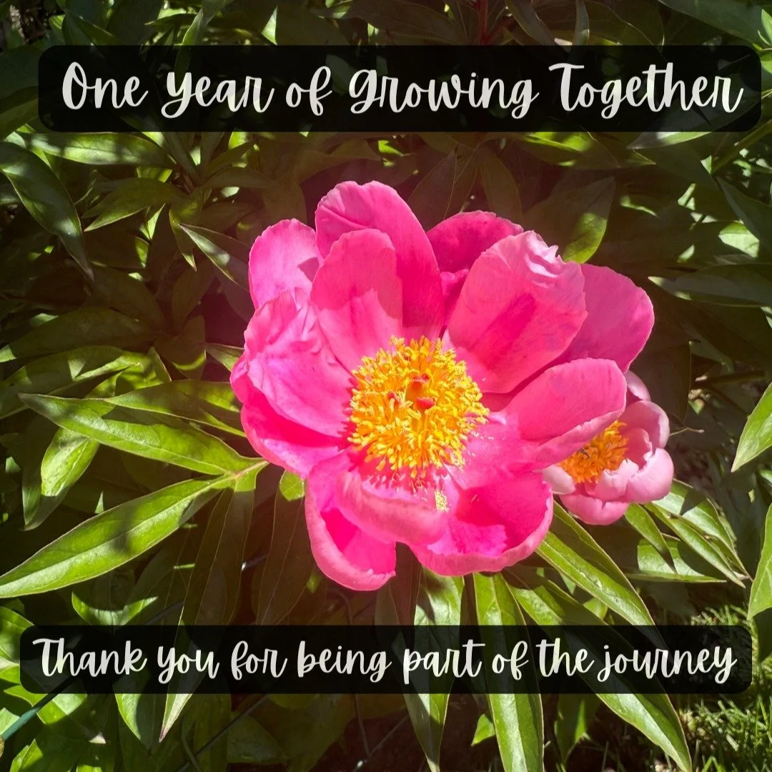 This peony was transplanted from my grandmother&rsquo;s garden &mdash; a reminder that every garden carries the love and lessons of those who came before us.

As Connect &amp; Grow Gardens turns one, my heart is full. Thank you to all the friends, fa