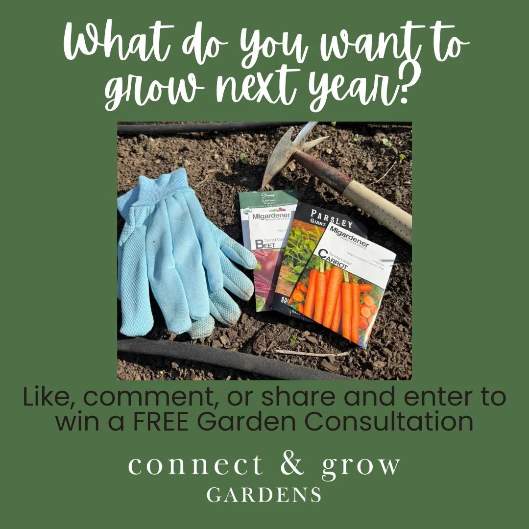 What do you want to grow next year?

To celebrate Connect &amp; Grow Garden&rsquo;s one-year anniversary, I&rsquo;m giving away 3 free garden consultations! 

What&rsquo;s a consultation&mdash;and why does it matter? It&rsquo;s a focused, one-hour se