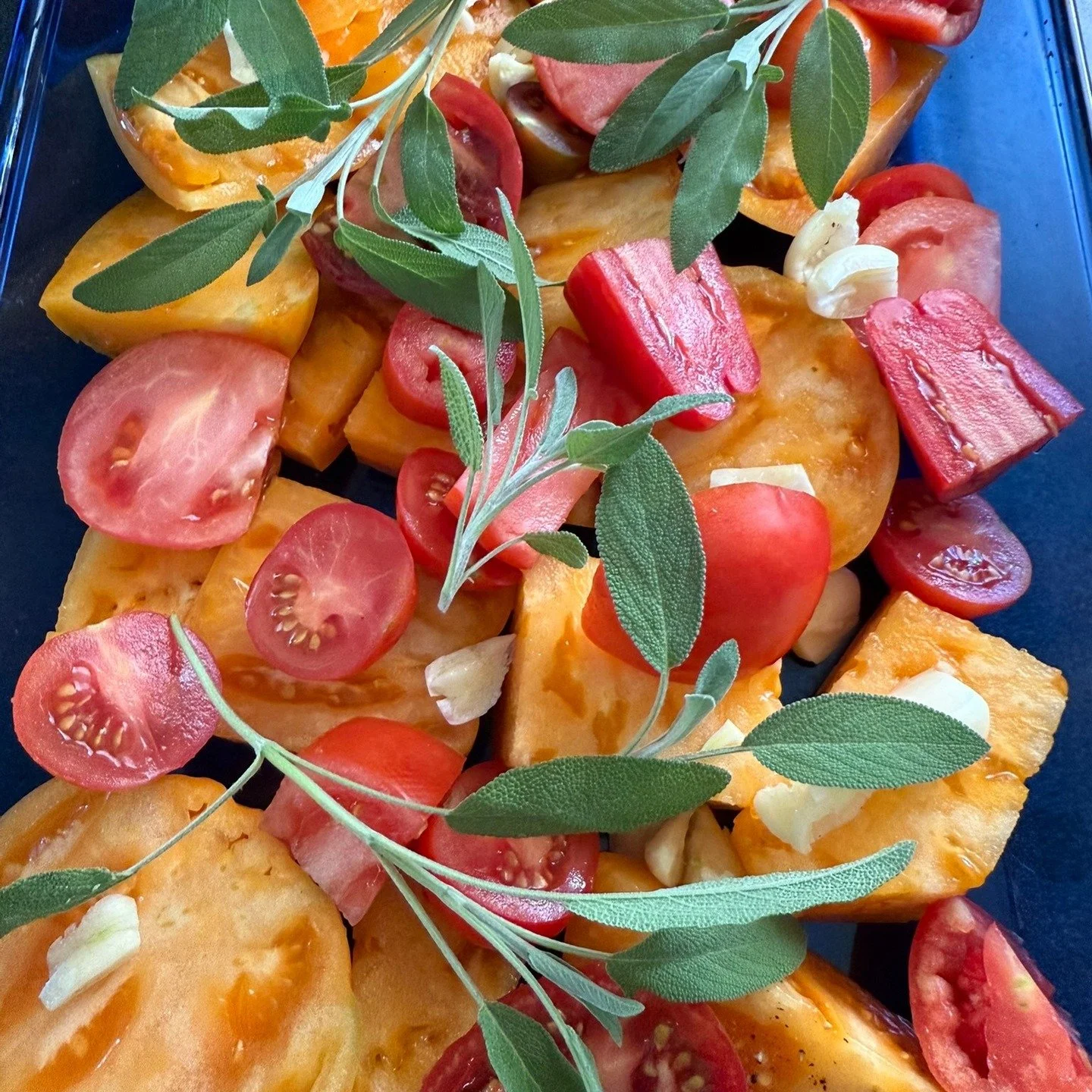 The joy in gardening is meant to be shared. It&rsquo;s one of the reasons I started Connect &amp; Grow Gardens- to connect people through seeds, plants, learning, and the simple joy of growing something together. 

My favorite thing to share from the