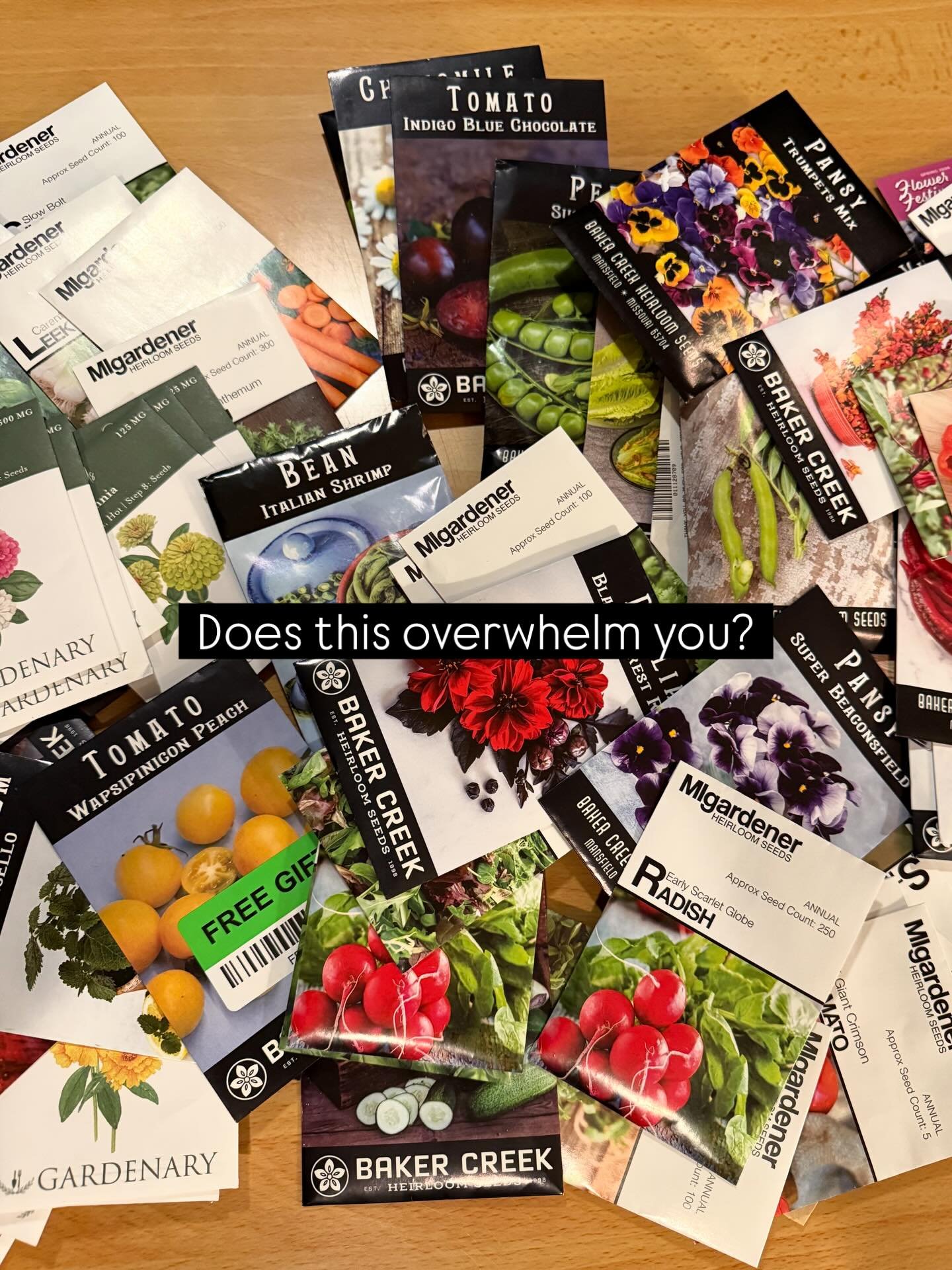 Same! 🙋🏼&zwj;♀️There are so many seed options out there. It can be fun for a gardener&hellip; and also a little overwhelming.

✨If you&rsquo;re just starting out, here&rsquo;s an easy place to begin: Focus on seeds that can be directly sown into th