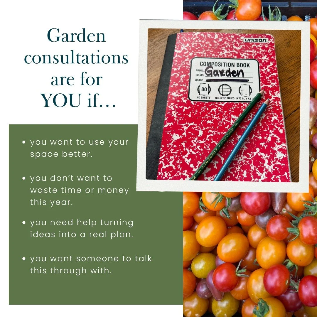Garden consultations are for people who are thinking things like:

🌱"I want to use my space better.&rdquo;
🌱 &ldquo;I don&rsquo;t want to waste time or money this year.&rdquo;
🌱 &ldquo;I need help turning ideas into a real plan.&rdquo;
🌱 &ld