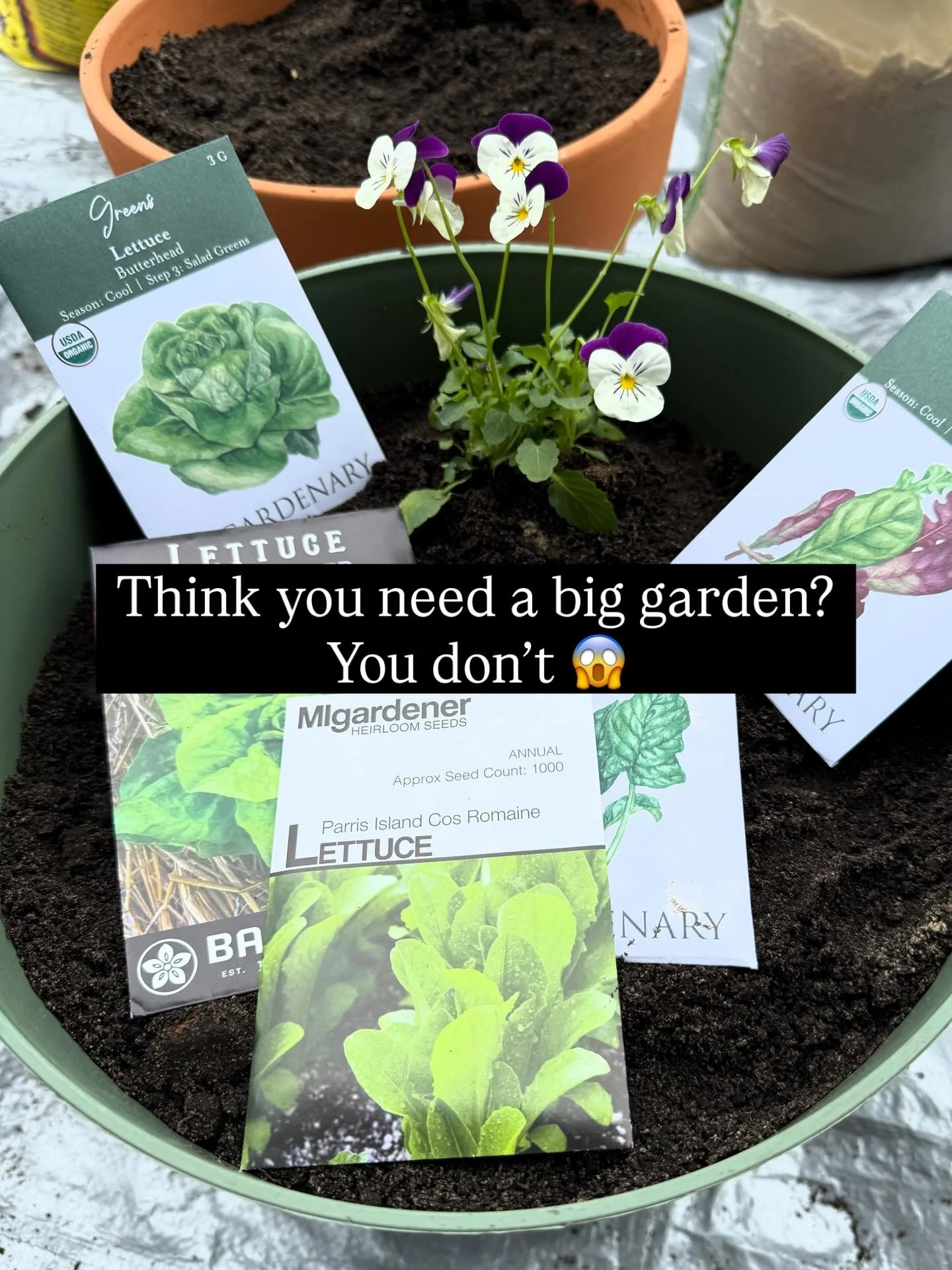 Most people think they need a large space to grow food at home. The truth is, with the right setup, even a 12-inch container can become a thriving garden🥬🪴

✨This is what&rsquo;s possible when your space is built with intention, not guesswork.