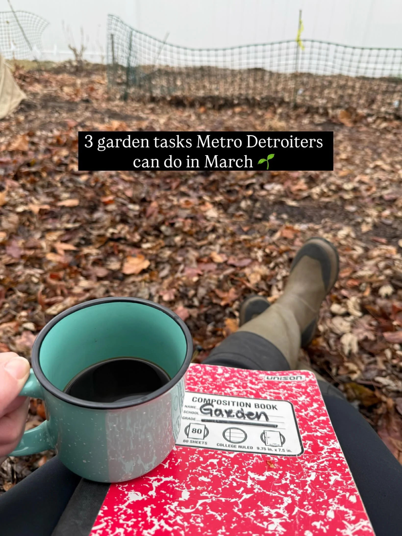 Before you buy any seed packets or plants this spring, check these three things in your garden.

✅ Sunlight: How much sun does your garden get? Herbs and salad greens can grow with 4&ndash;6 hours of sun per day, but larger crops like fan favorites t