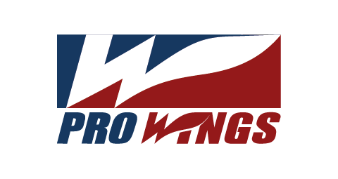 PRO WINGS.png