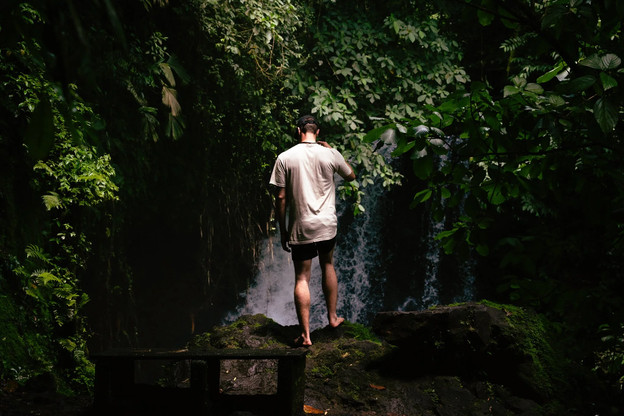 A man in a beige t-shirt and black shorts stands barefoot on a mossy rock, looking at a small waterfall in a lush, green jungle. fineart print. rainforest. flurin giebel. 
