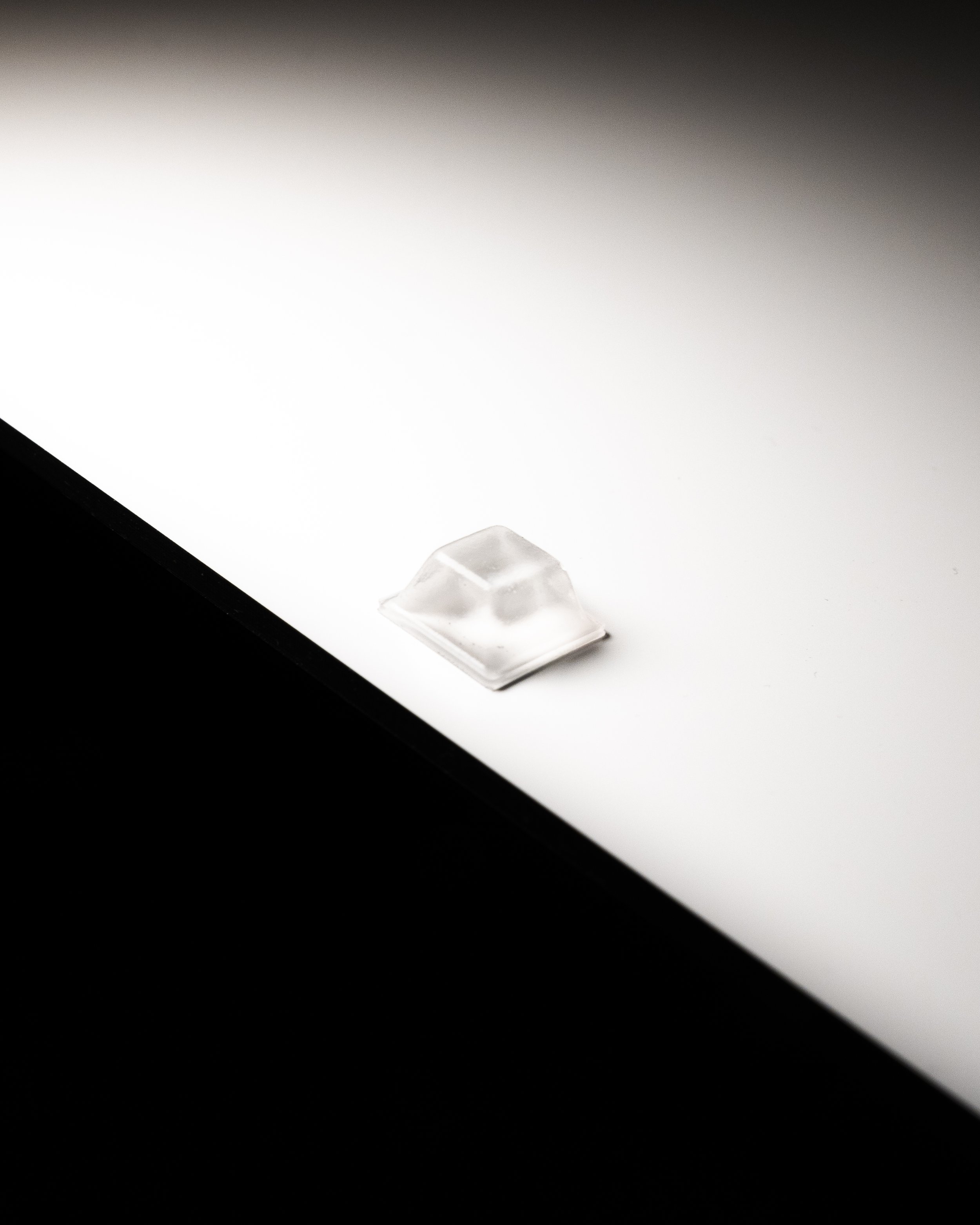 FG_BilderBilder04. Februar 2026_240DPI-2.JPG