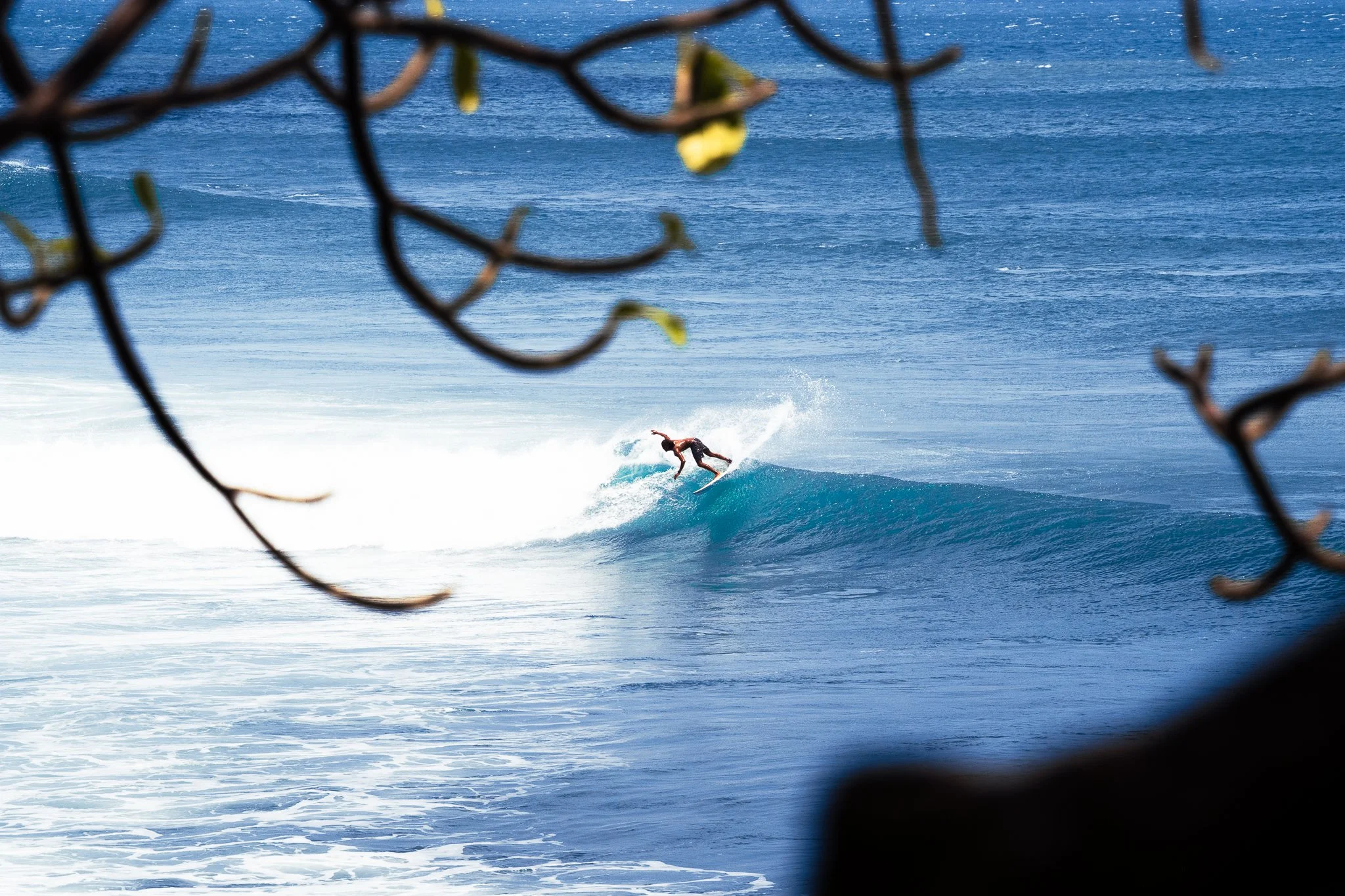 FG_Swell(6000 x 4000)-3.jpg