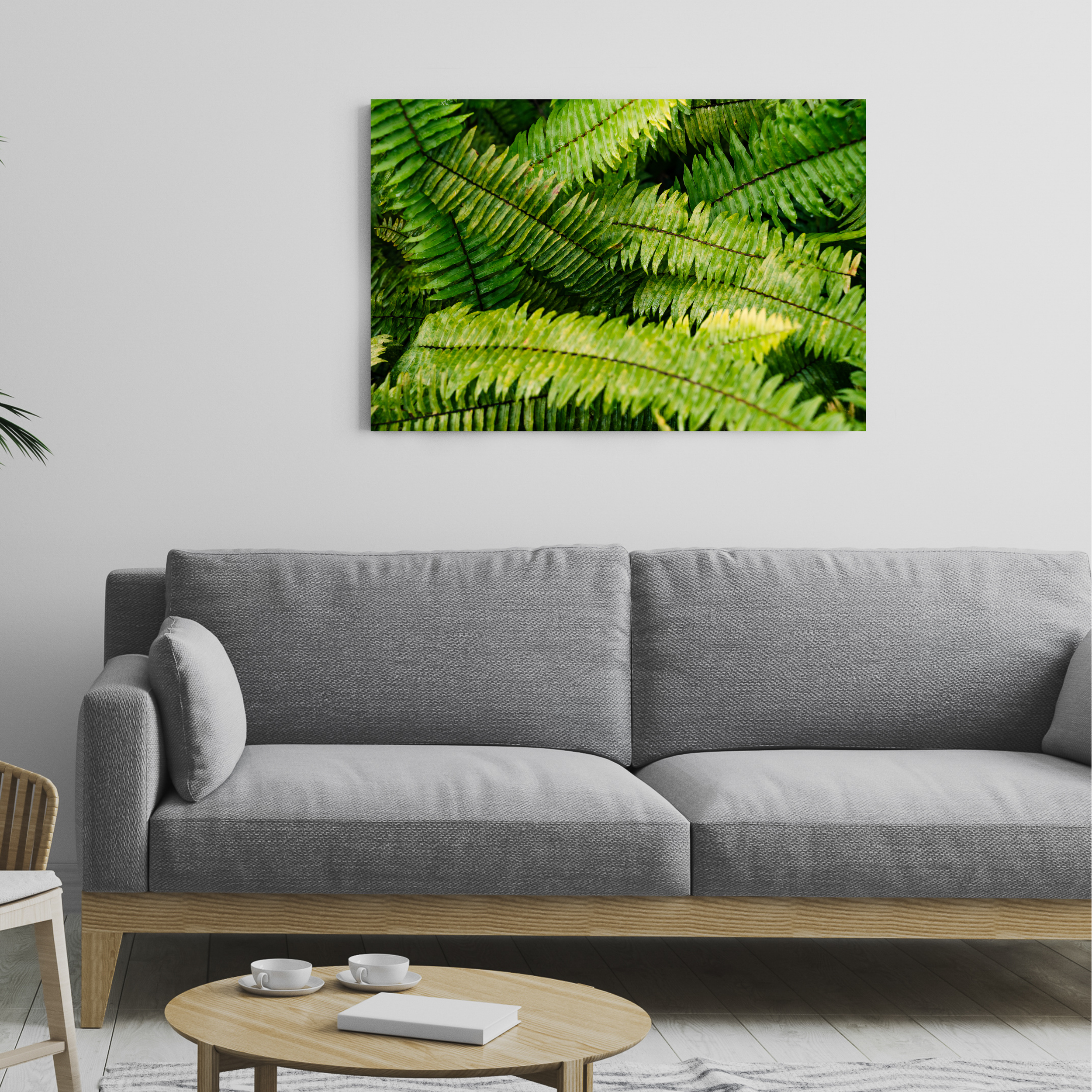 Mockup2RainforestVI.png