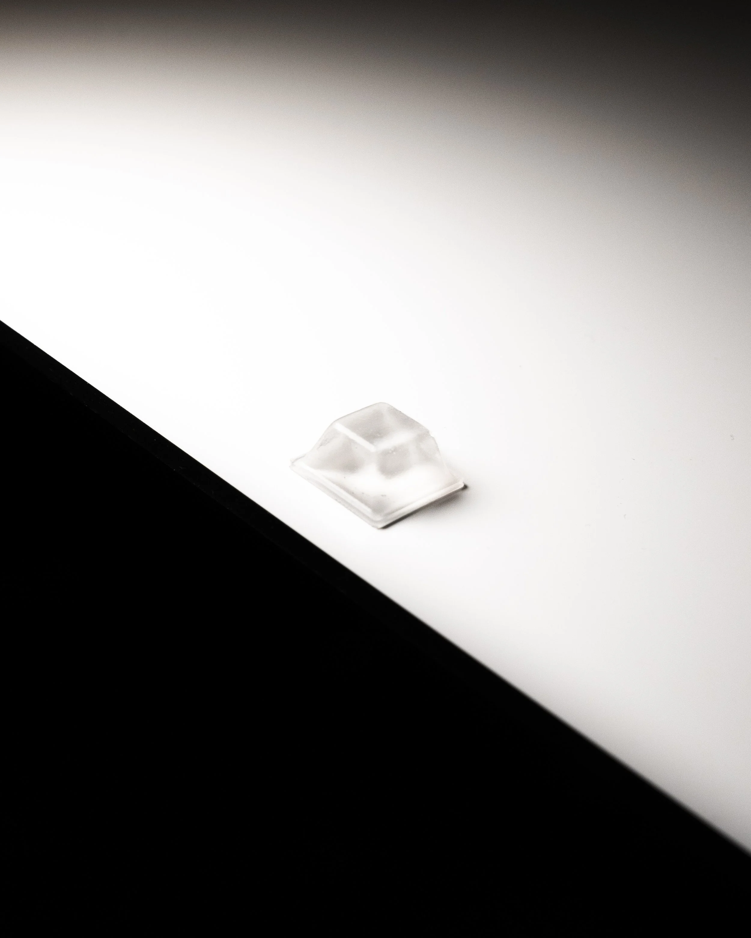 FG_BilderBilder04. Februar 2026_240DPI-2.JPG