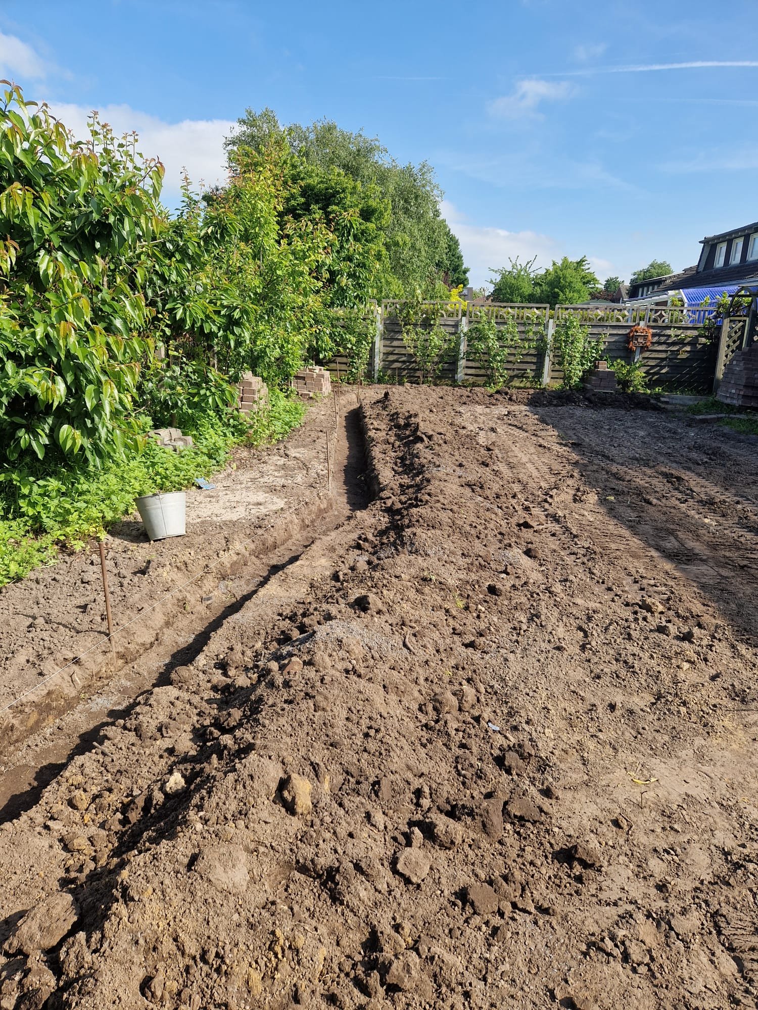 Garten5.jpeg