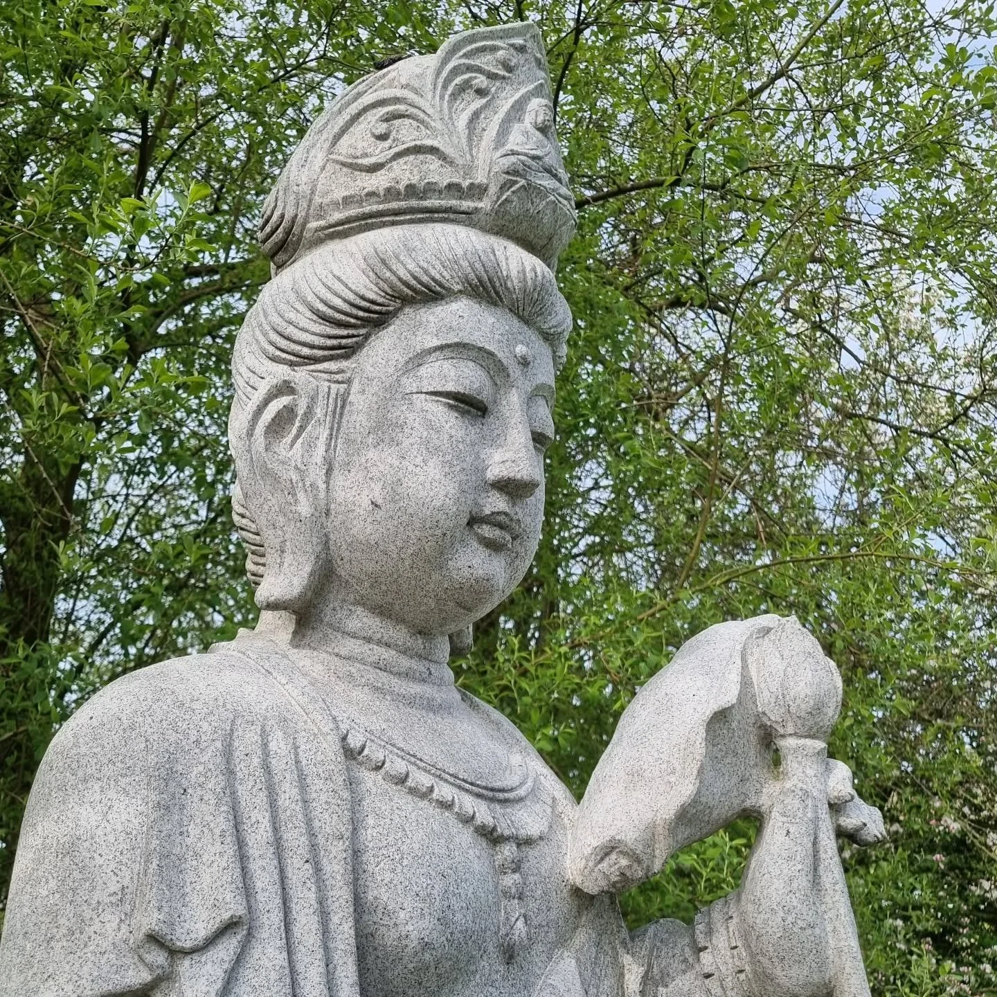 The one who has no possessions,
no desires, and no attachment,
has all the treasures of the world.
- Dhammapada