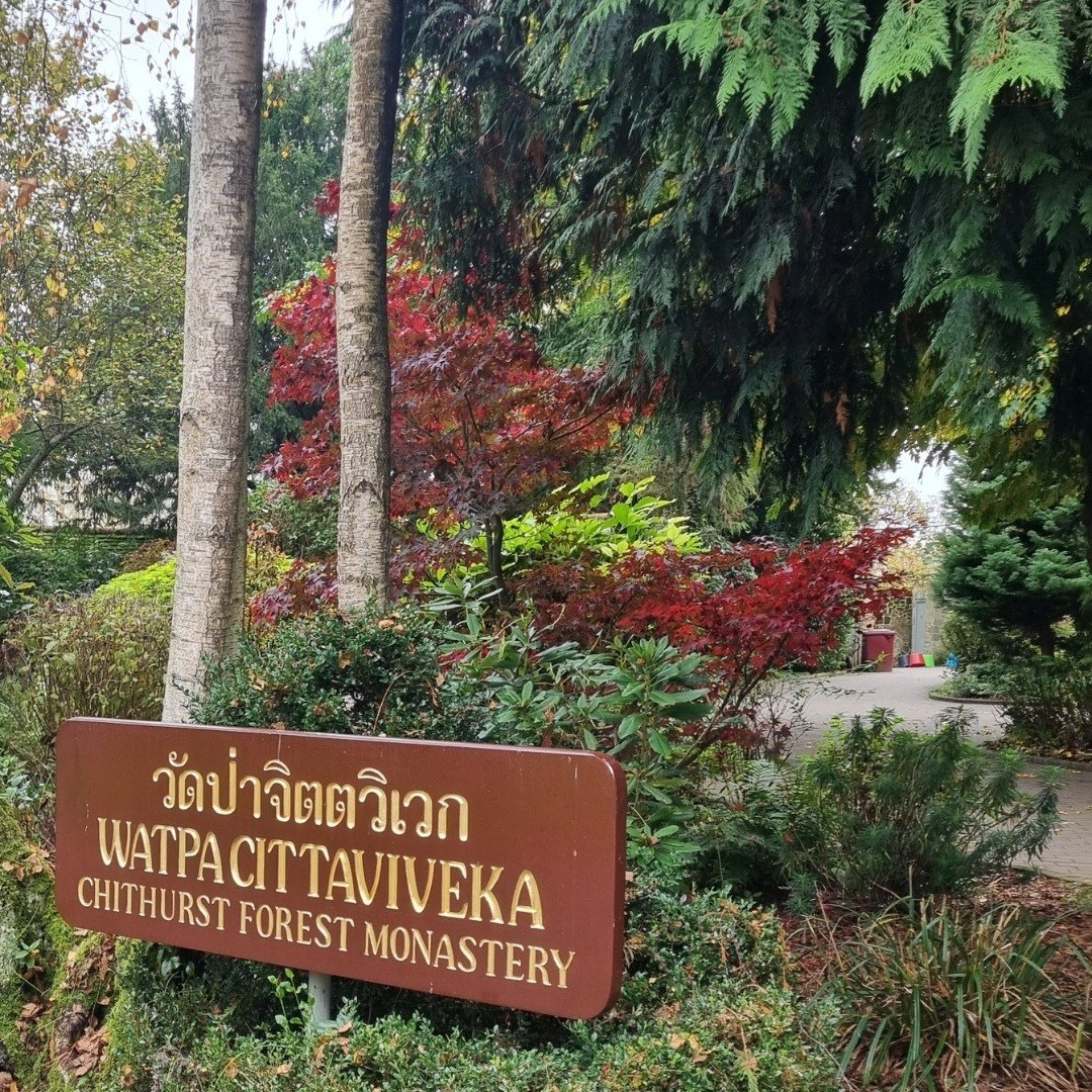 Spent some time chilling with the Thai Forest monks at Cittaviveka Monastery in the U.K.
