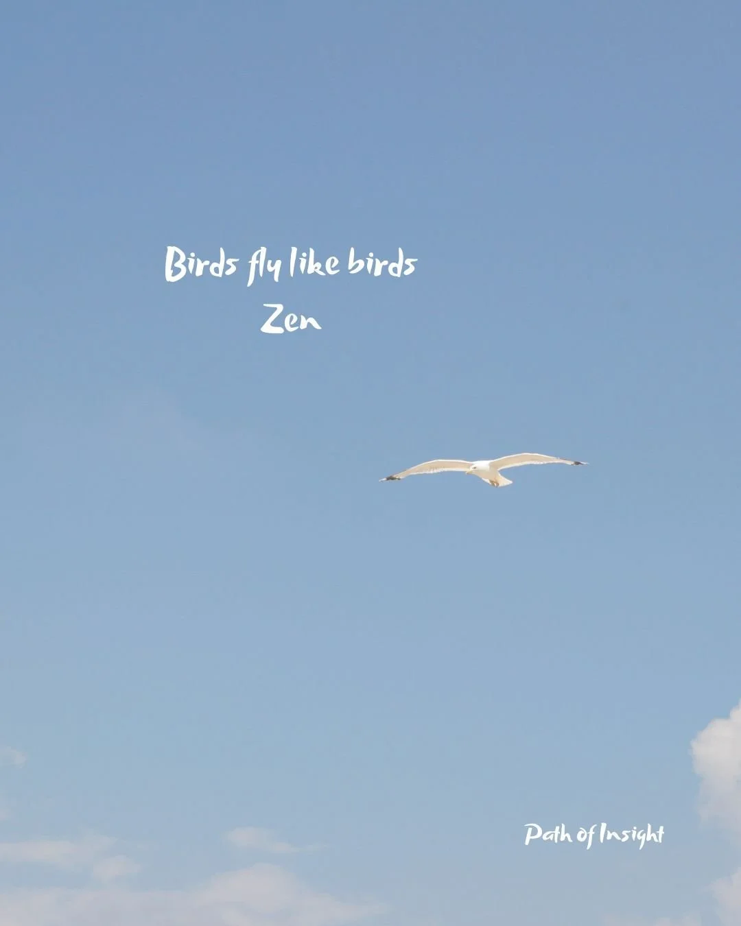 Birds fly like birds
&mdash; Zen