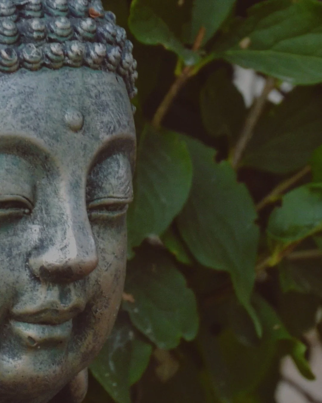 The discourses describe total freedom, not with one word, but many. As the Buddha said of himself, "the Tathāgata dwells with unrestricted awareness." 

There are many hints in the form of similes, and it's interesting to map awakening acro