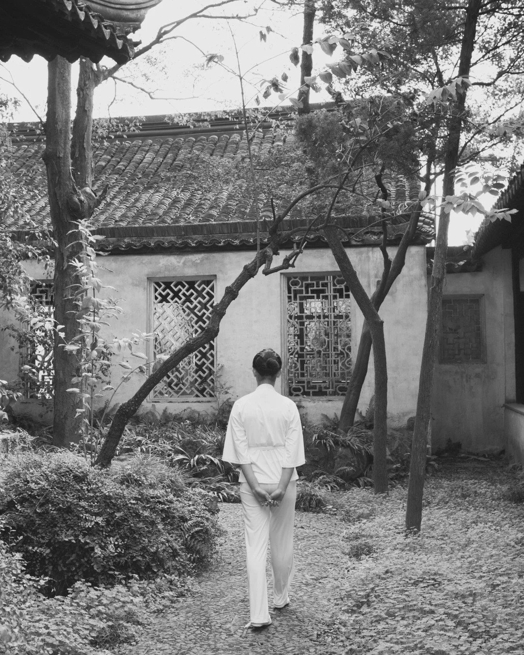 One calms, one sees. Samatha settles the water, vipassana looks through it.
