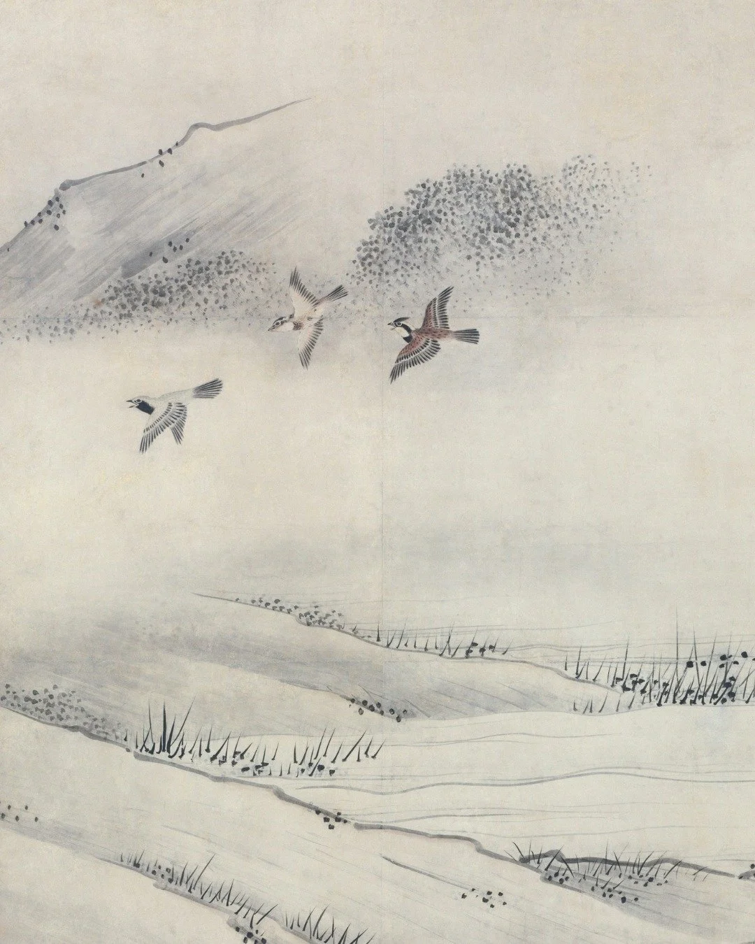 Birds fly like birds
&ndash; Zen