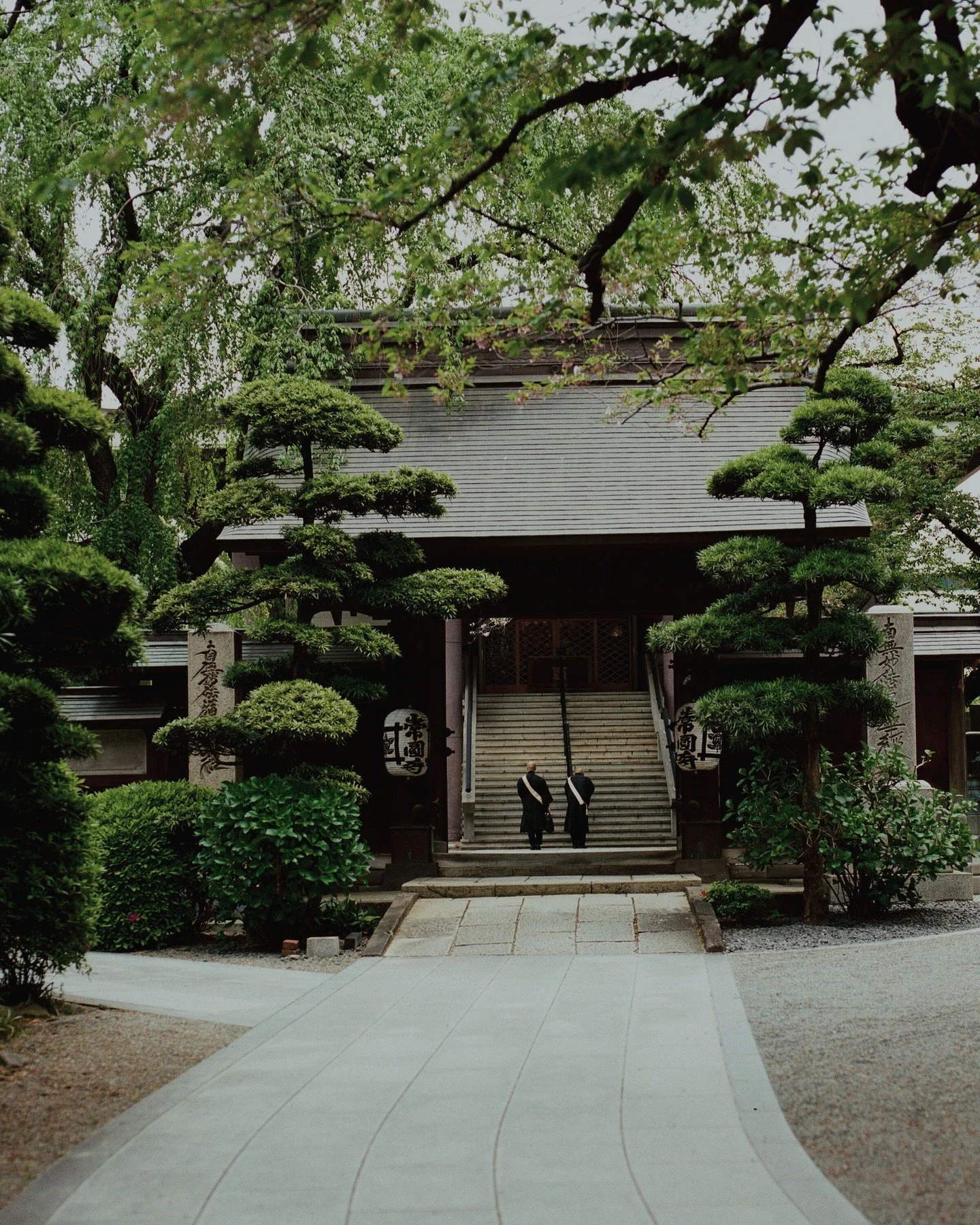 To study the self is to forget the self.
&ndash; Dōgen, Genjōkōan (1233)