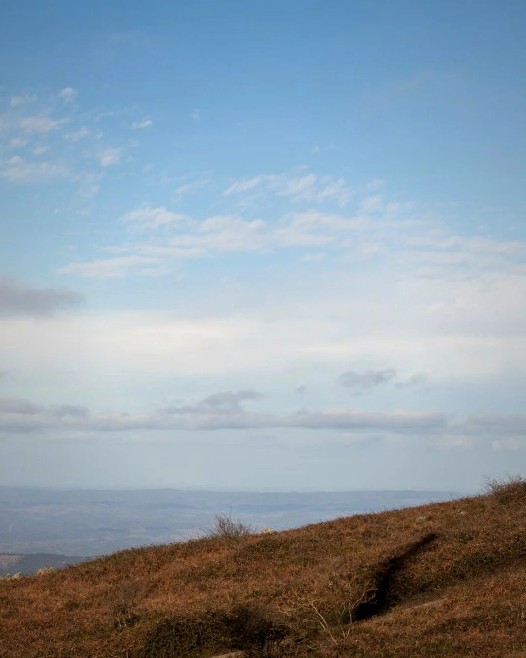 I'm really looking forward to this one.

Next March we'll be up in the hills of Monchique for the Formless Awareness retreat, putting the thinking mind into hibernation for a bit and investigating awareness.

It's five days of Trekch&ouml; from the D