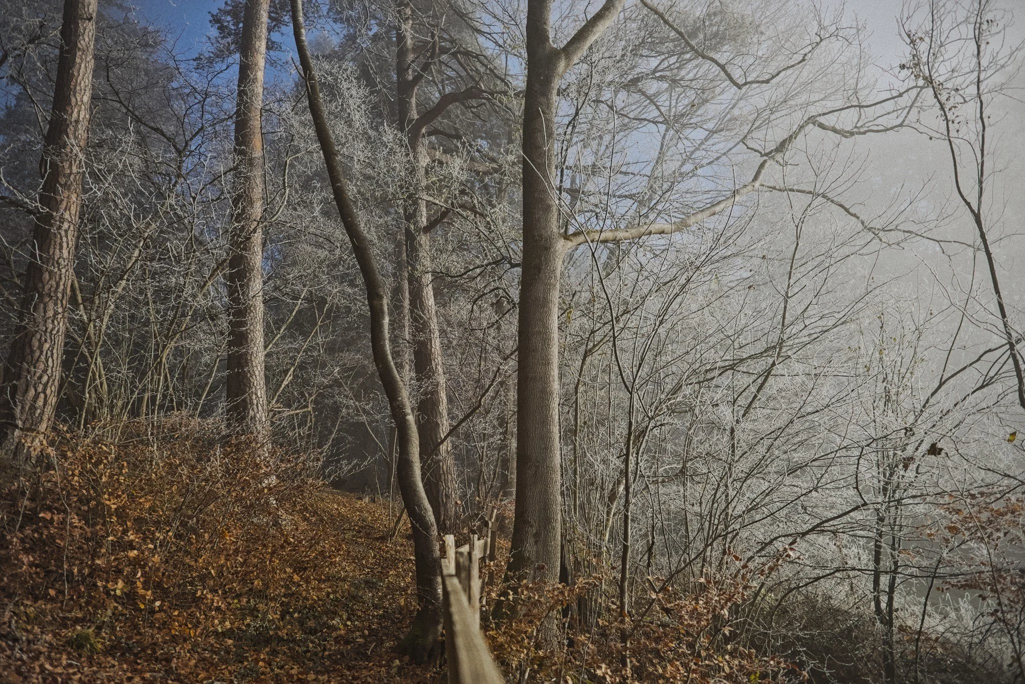 20241130_0045.jpg