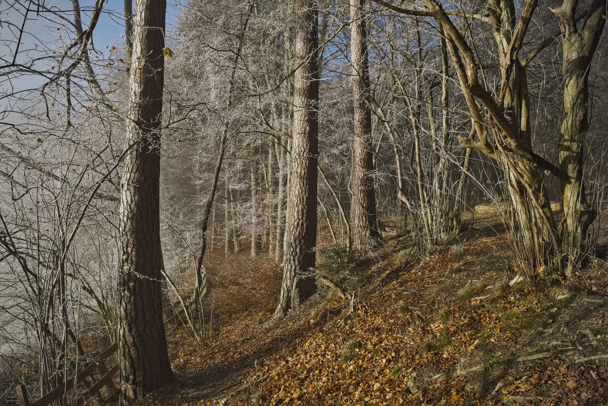 20241130_0036.jpg