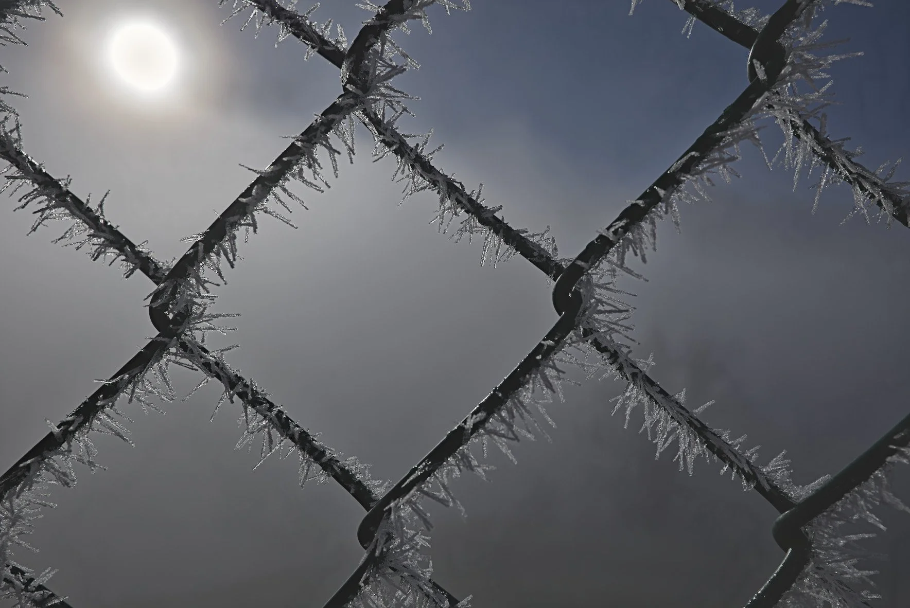 Frost_Draht.jpg