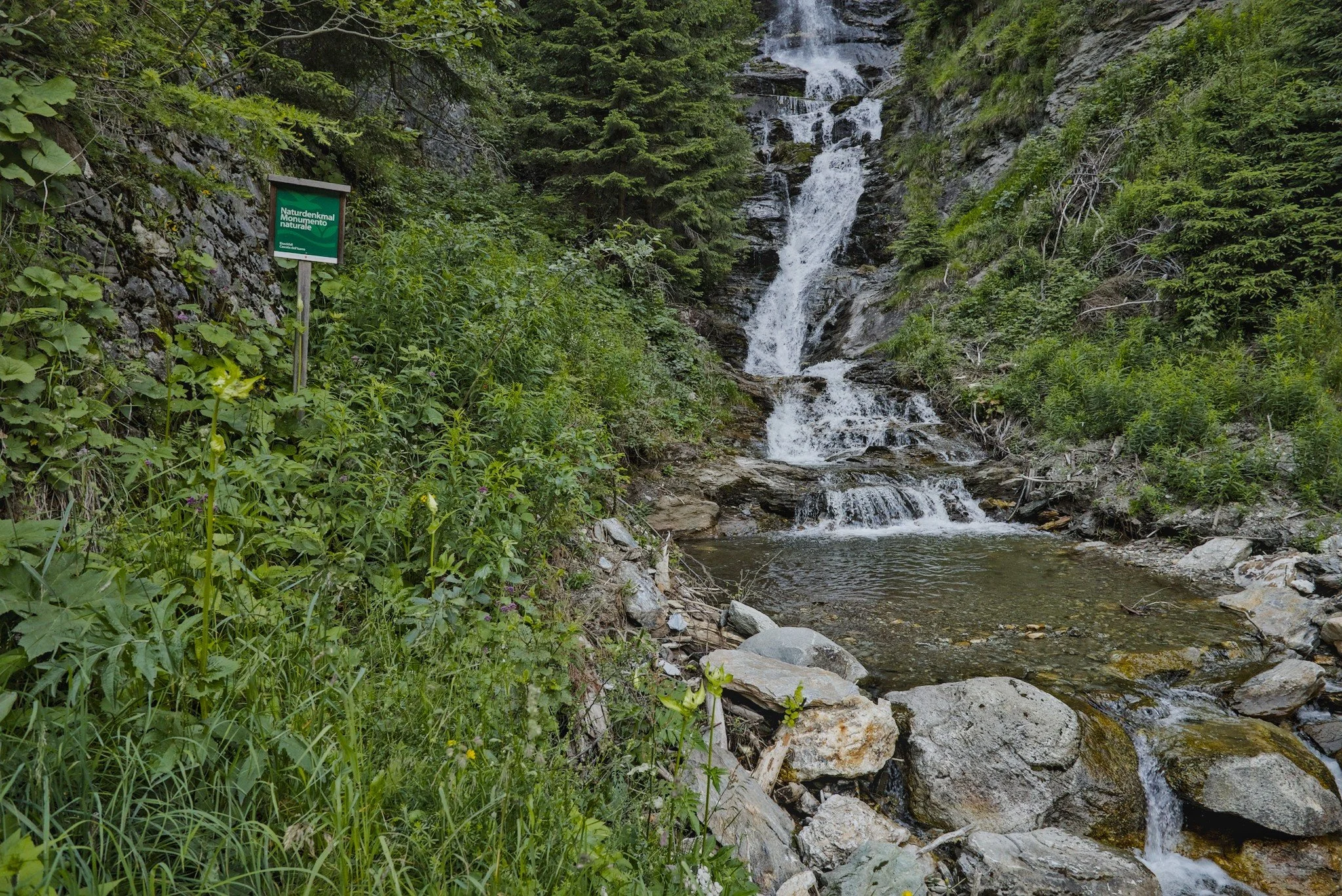 20240705_0031.jpg