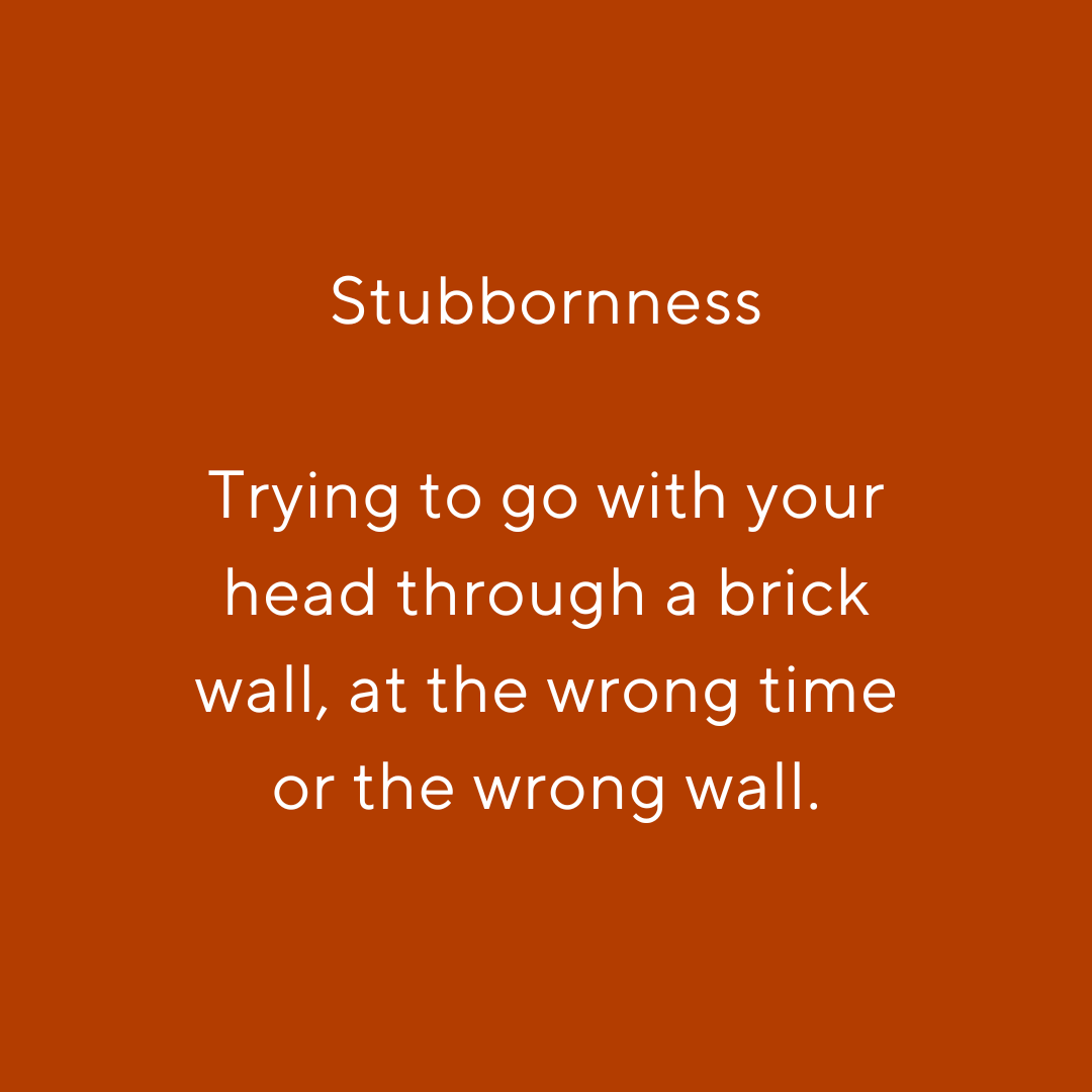 Clue on stubbornness