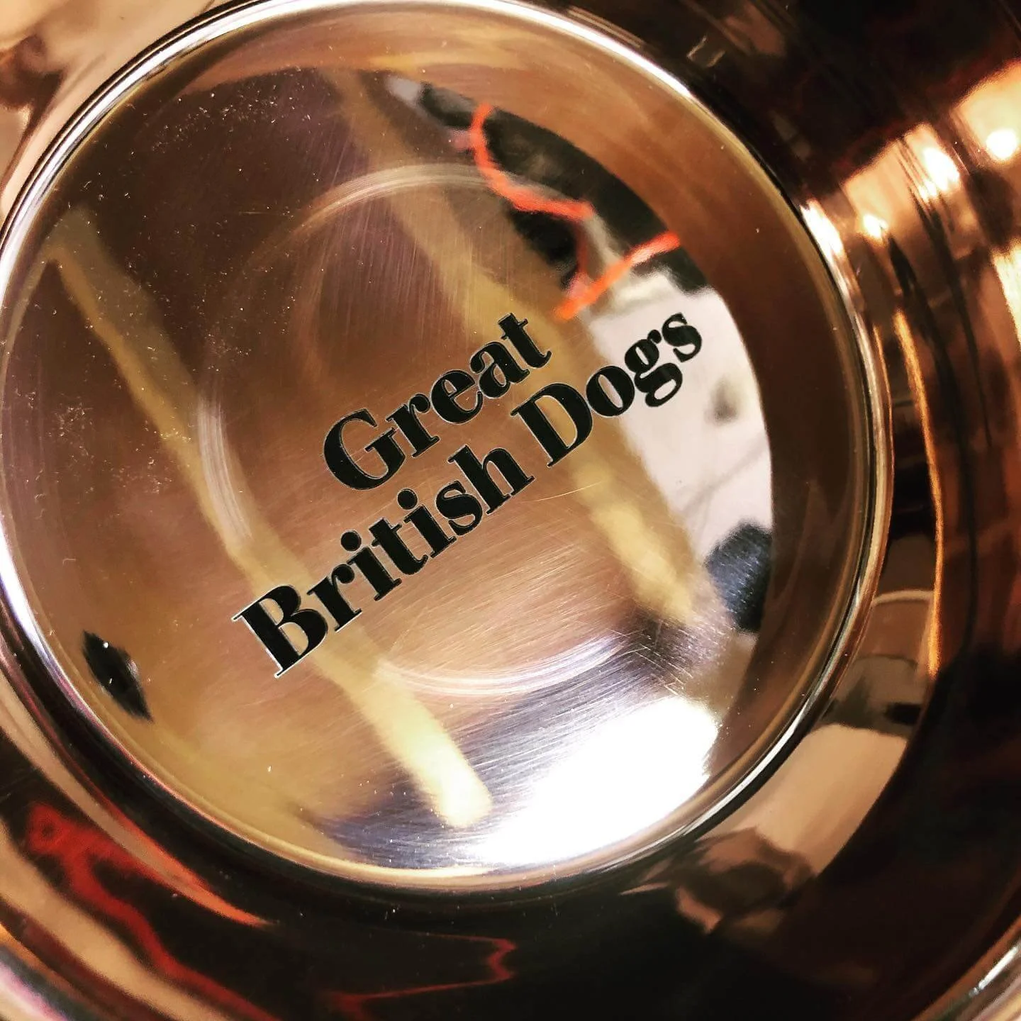 Personalised dog bowl.jpeg
