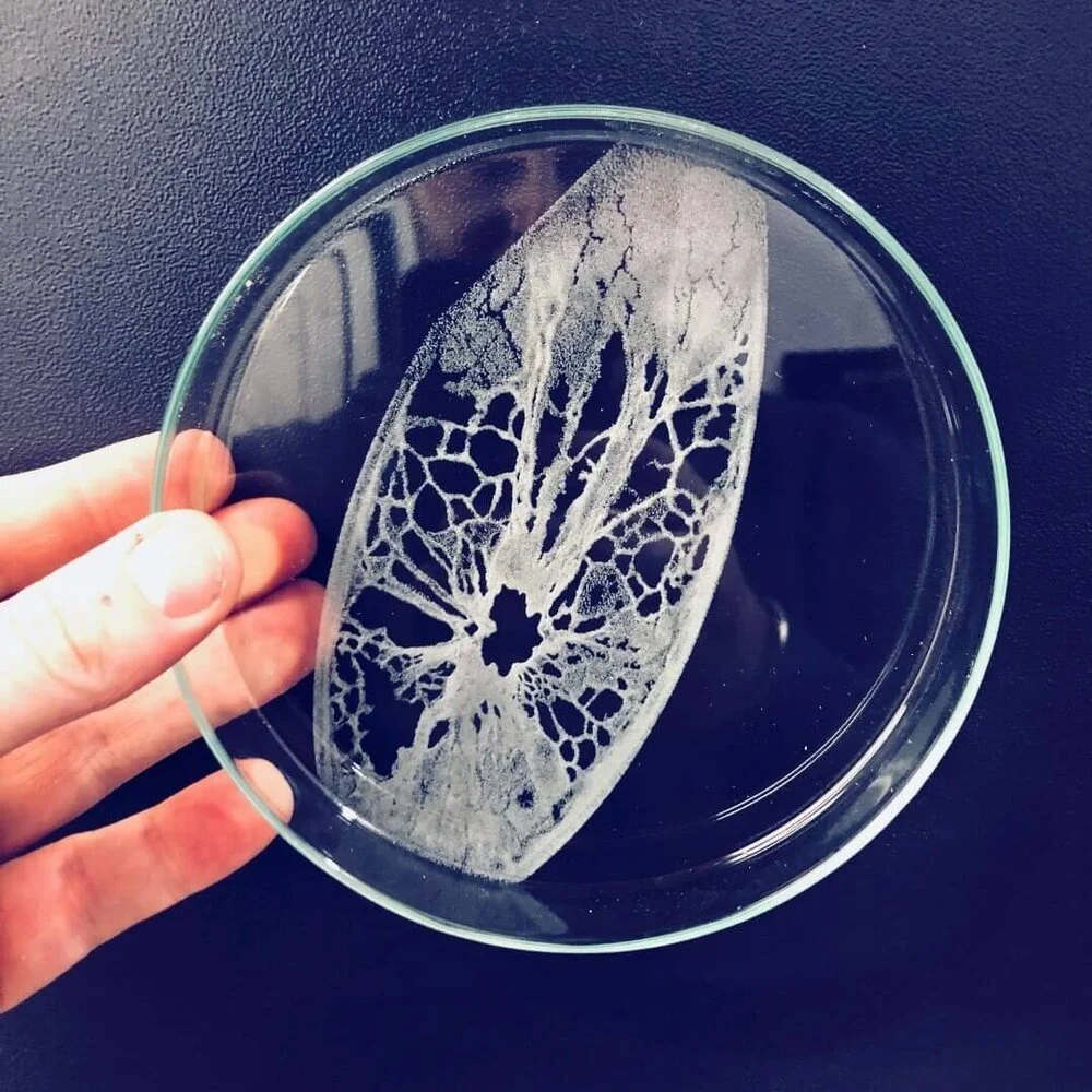 Glass+Engraving+Dish.jpeg
