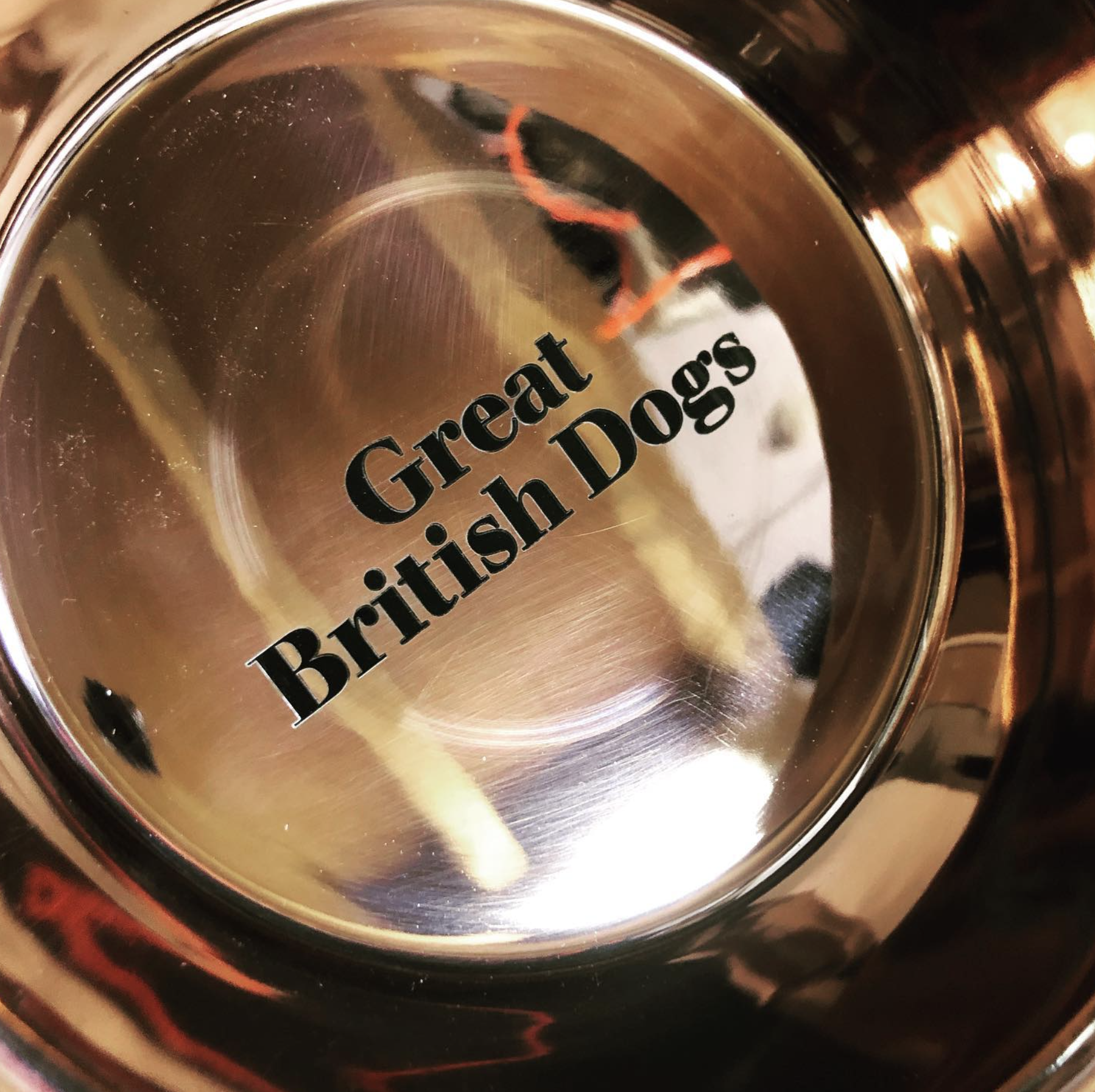 A close-up view of the bottom of a brass dog bowl engraved with the text 'Great British Dog'.