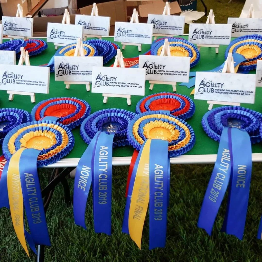 Colourful award ribbons and engraved marble plaques for an agility dog competition.